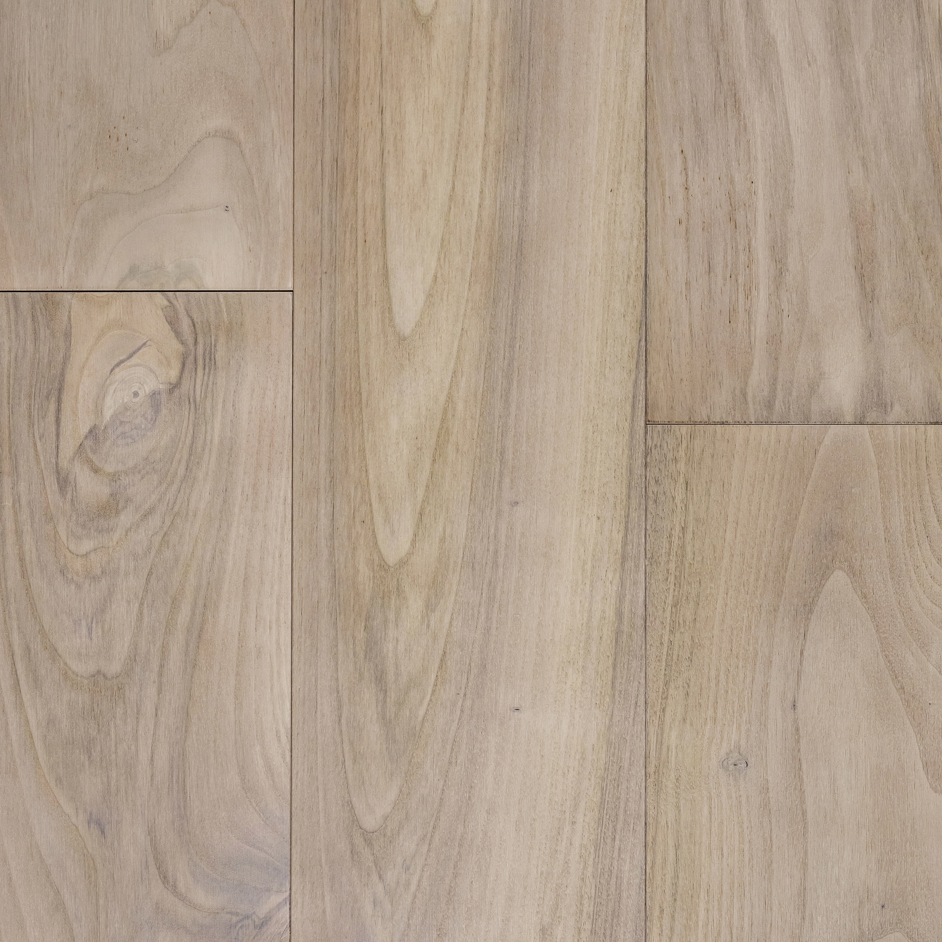 Produkt Noce europeo unicum des Herstellers Mardegan Legno anzeigen