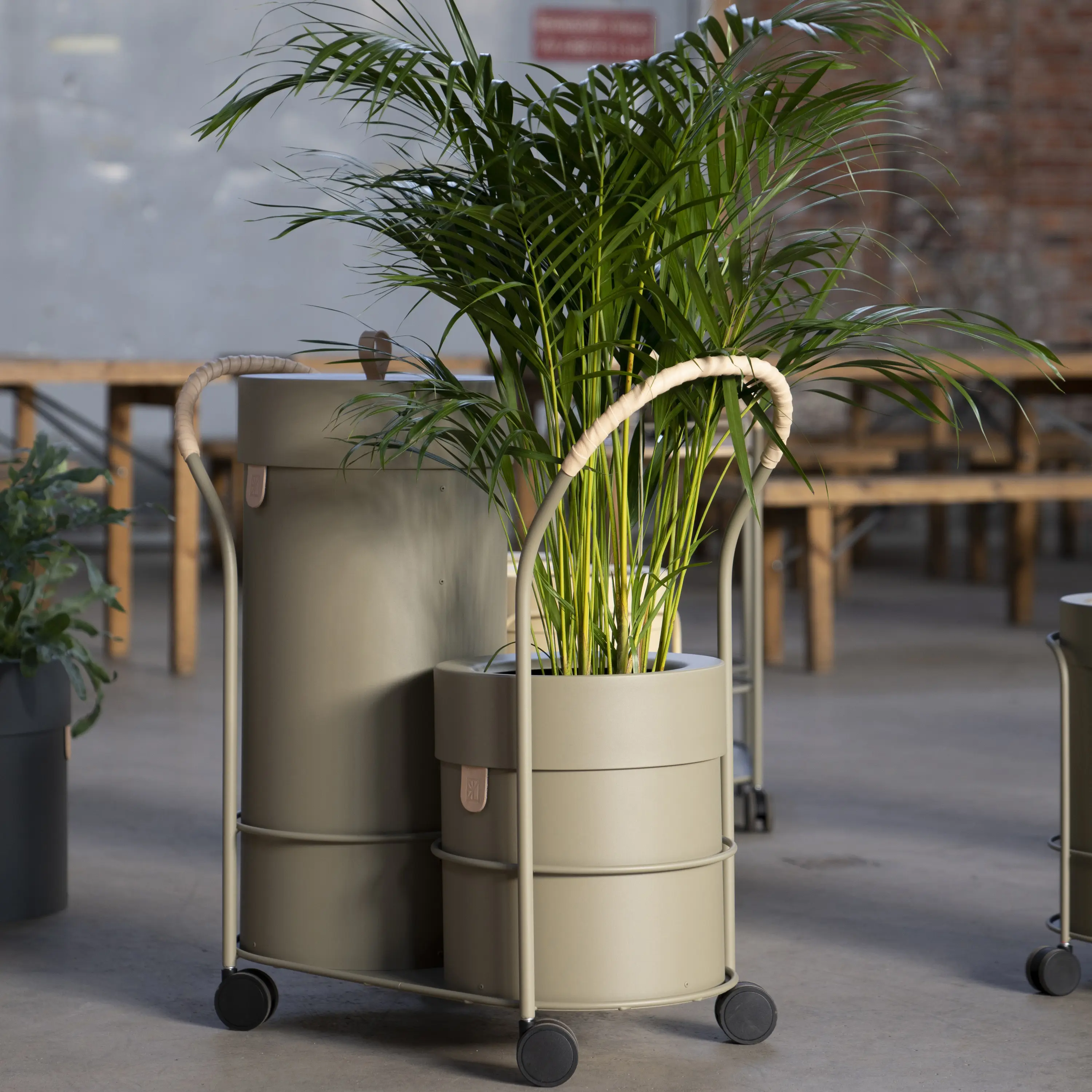 MIZETTO - Bt L Set Anthracite/Trolley + 2 Pcs Bins