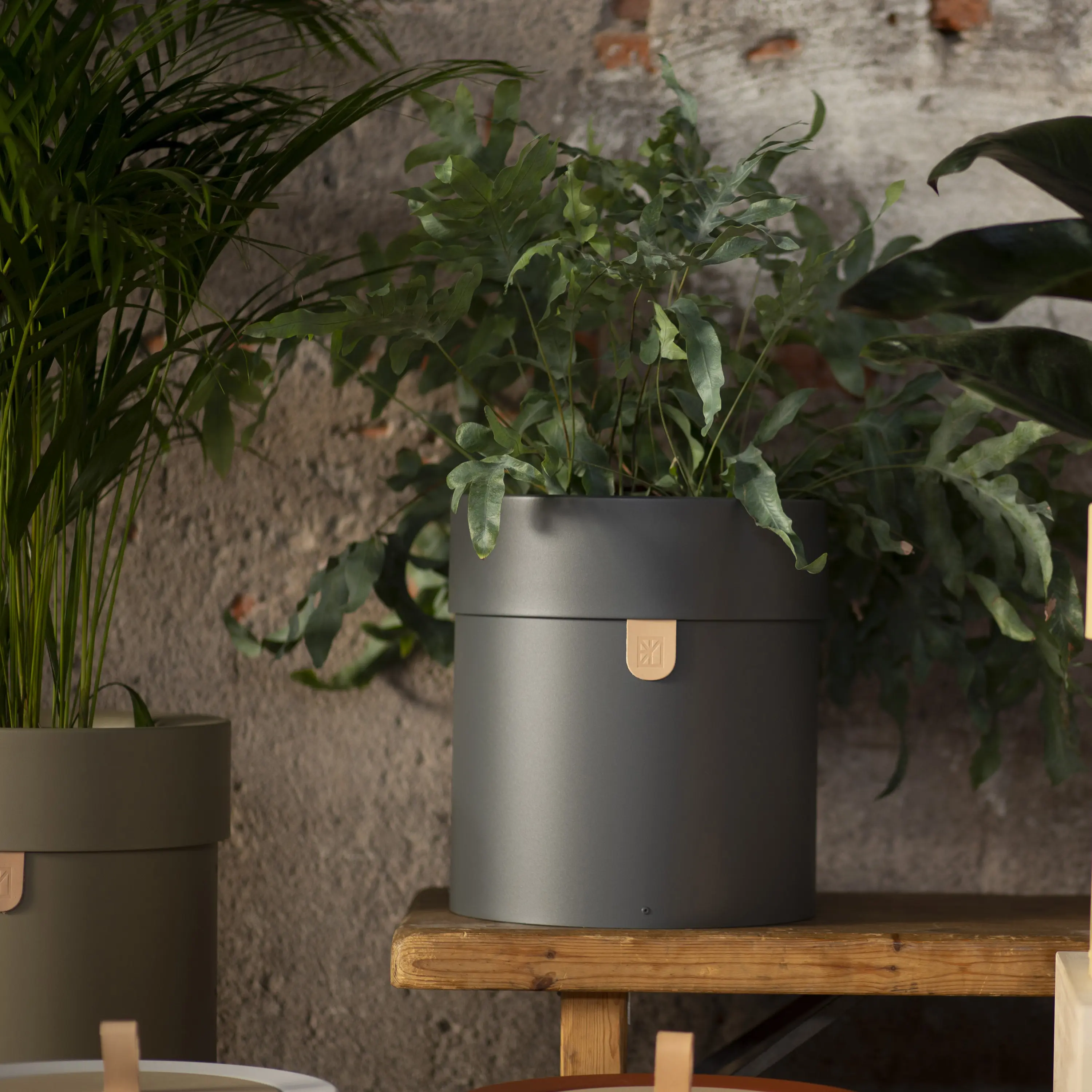 MIZETTO - Bin There L Pot Anthracite