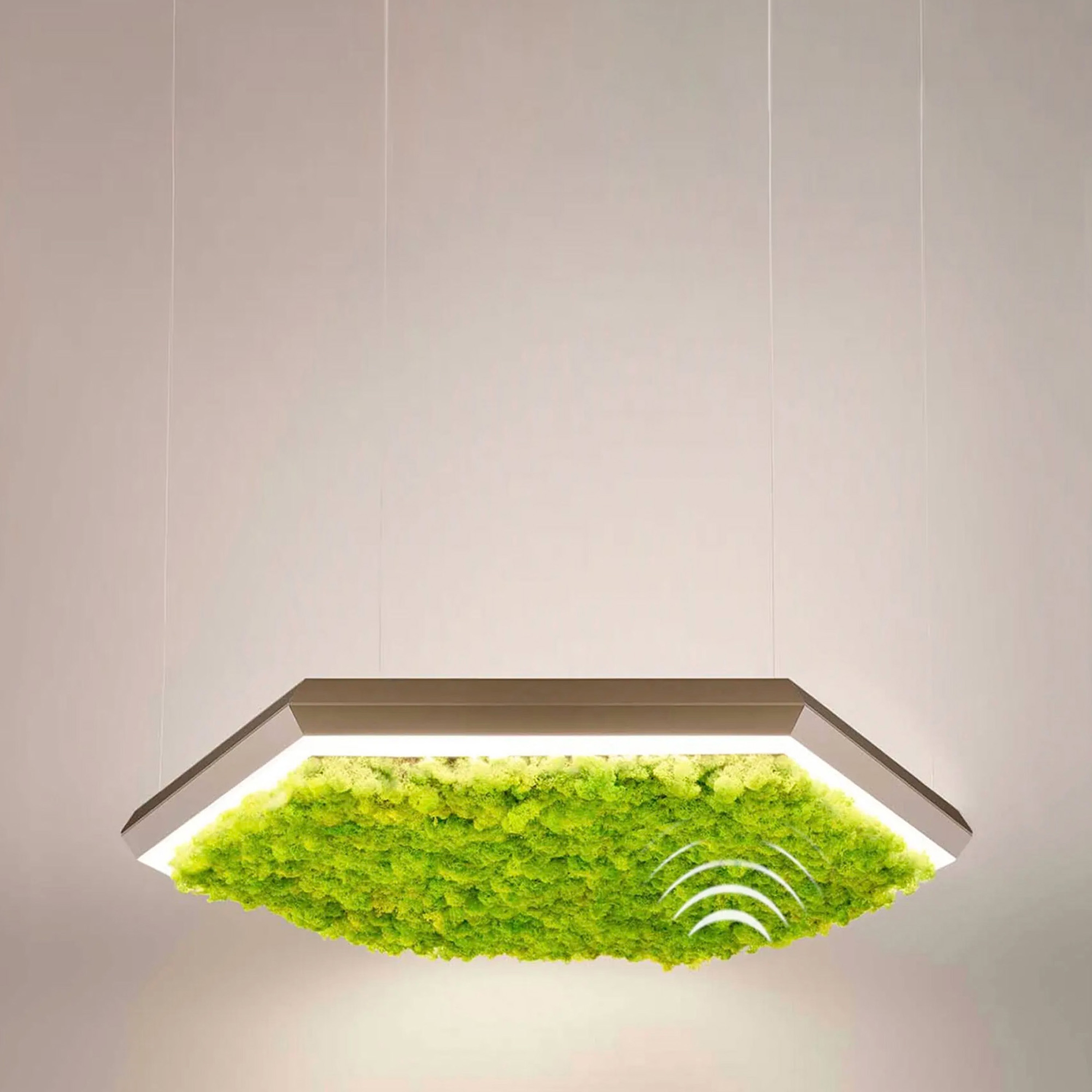 Display product Exagon Silence Green from manufacturer OLEV