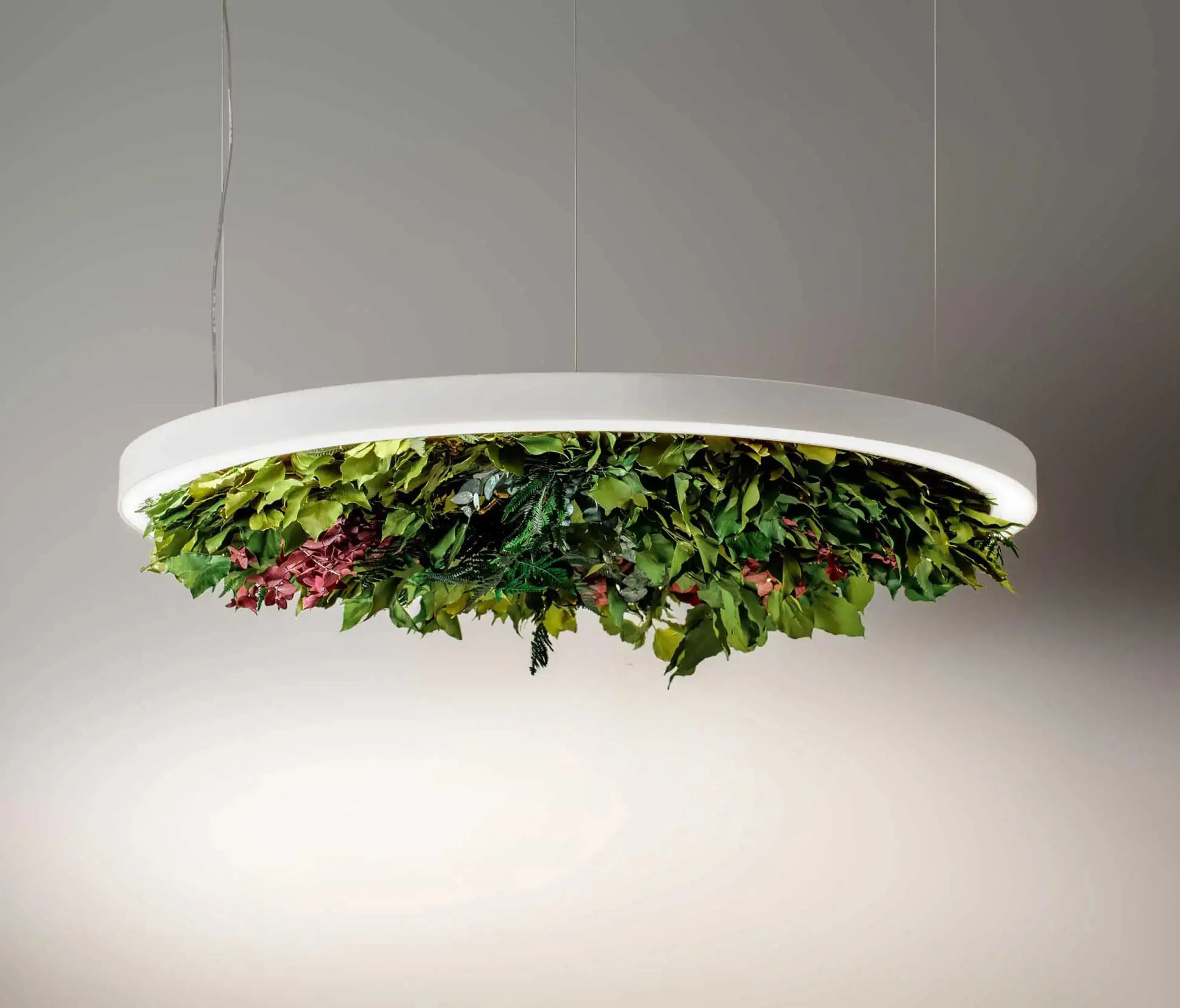 OLEV - Gavin Silence Leaf