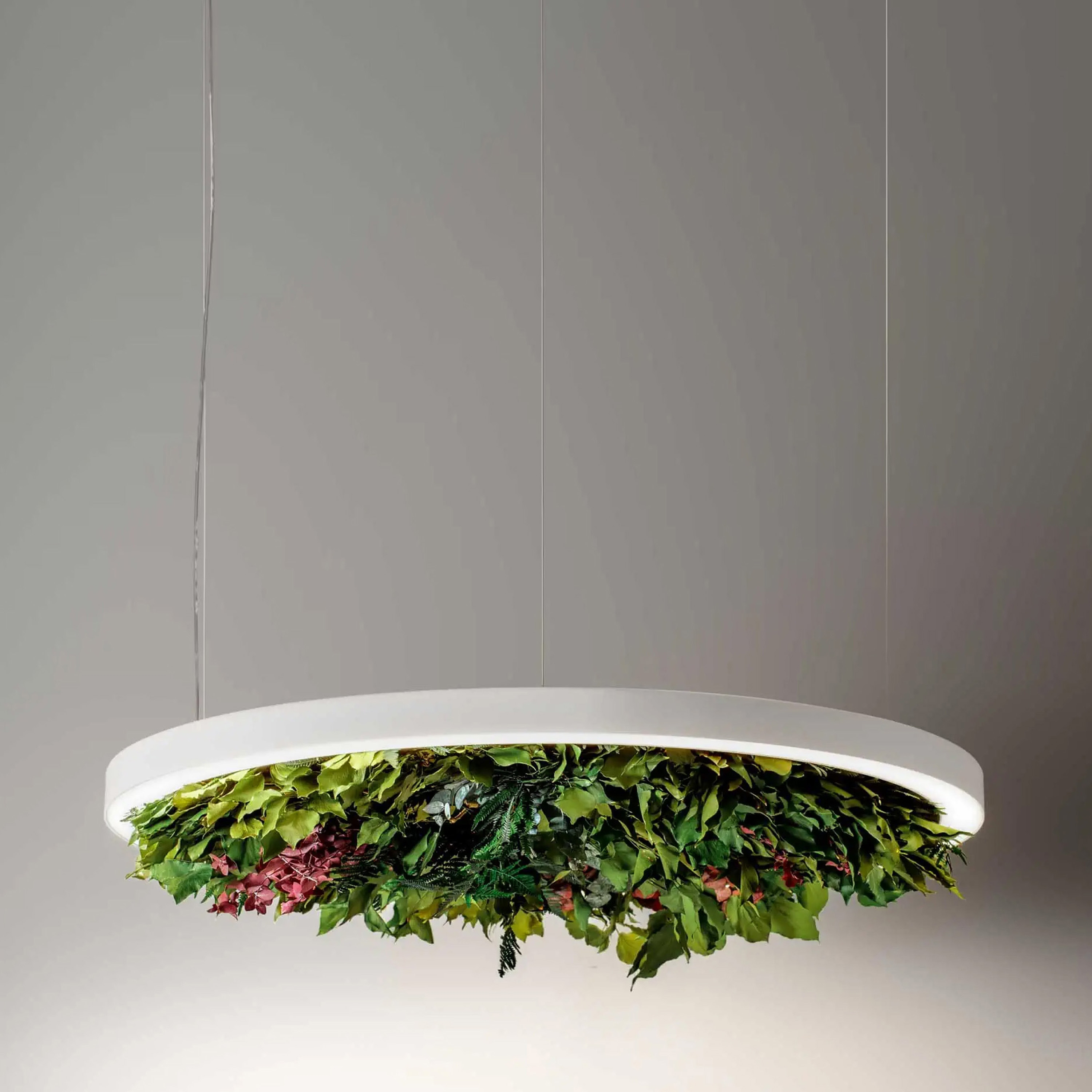 Display product Gavin Silence Leaf from manufacturer OLEV