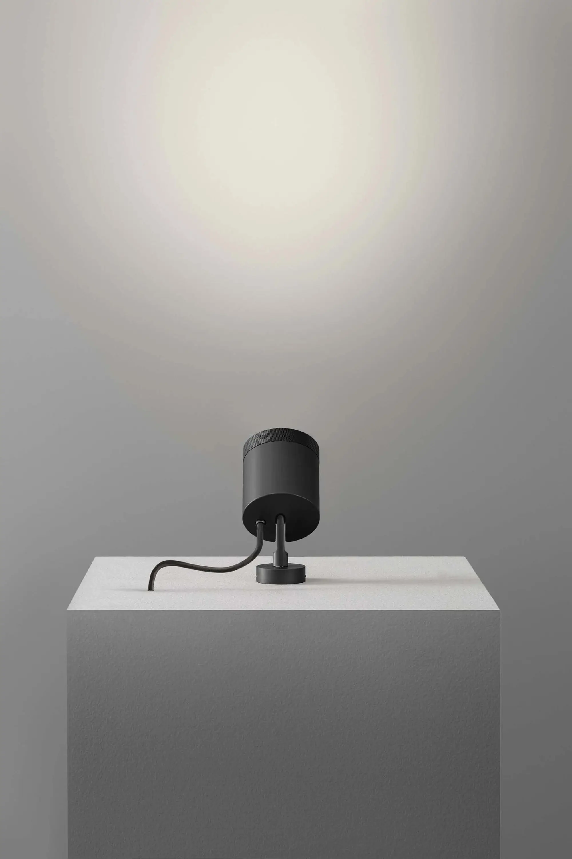 OLEV - Maxi Dot Spot