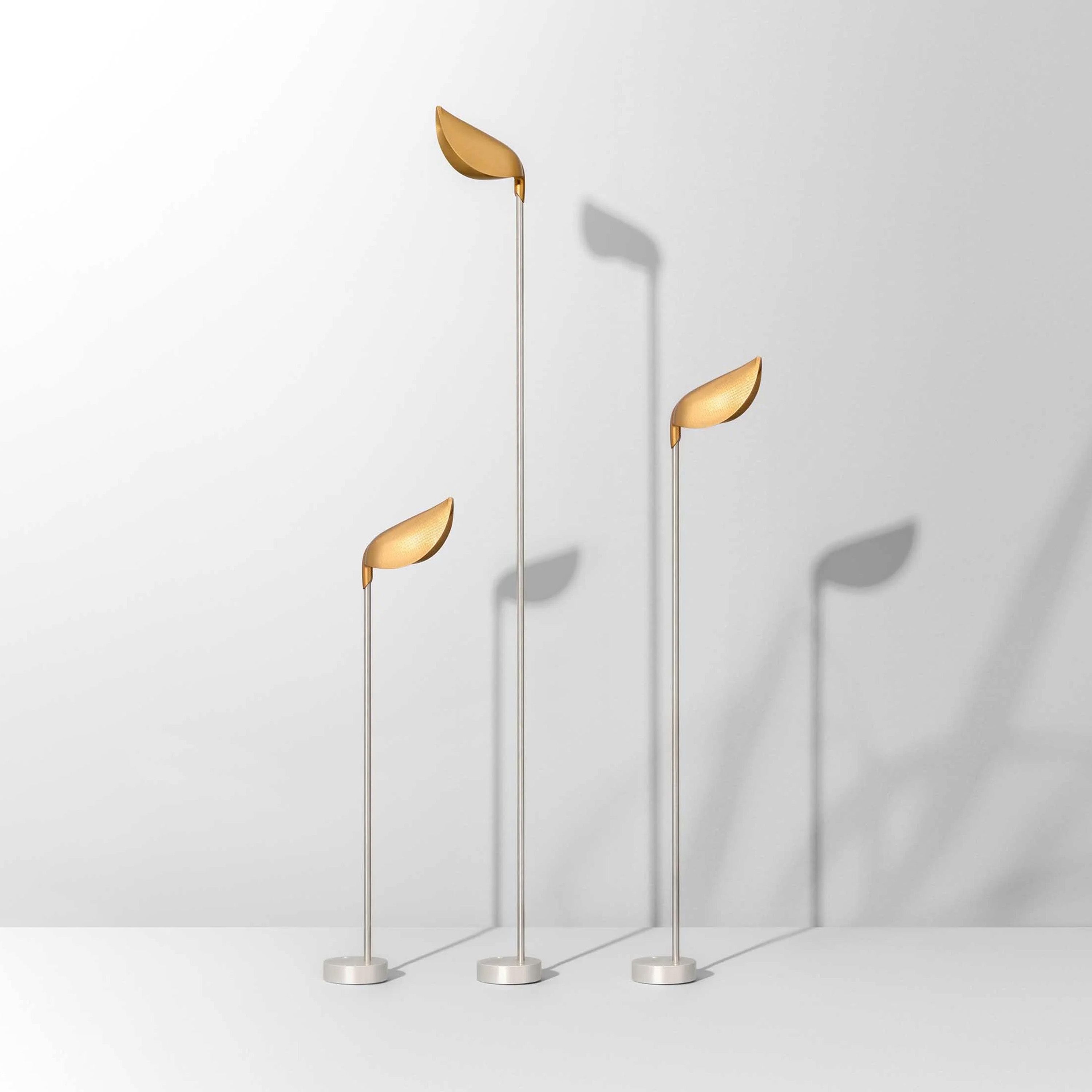 Display product Zoella from manufacturer OLEV