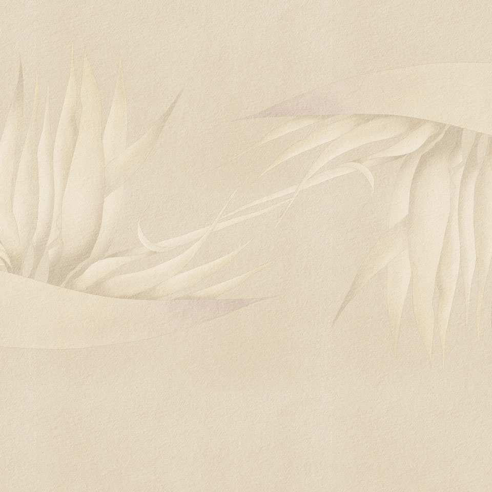 Creazione AP025-2
