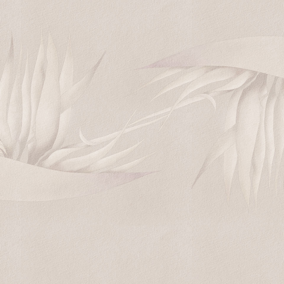 Creazione AP025-3