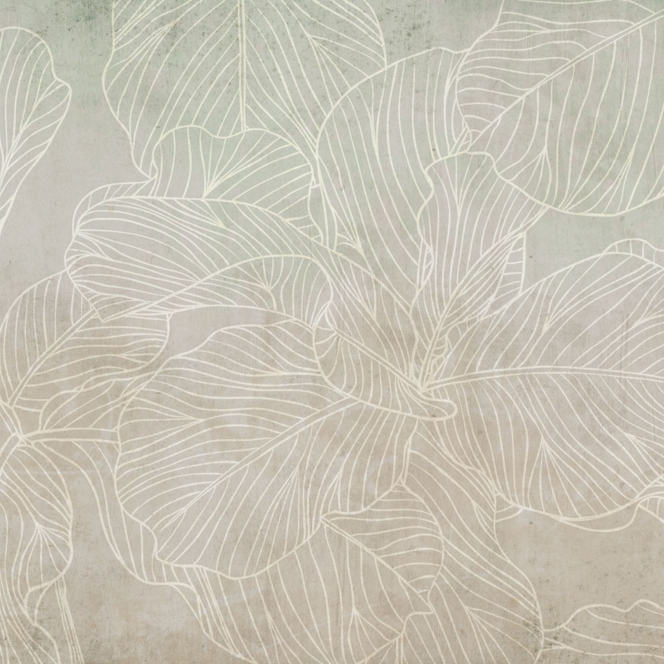 Afficher le produit Ficus SM011-1 du fabricant RIMURA