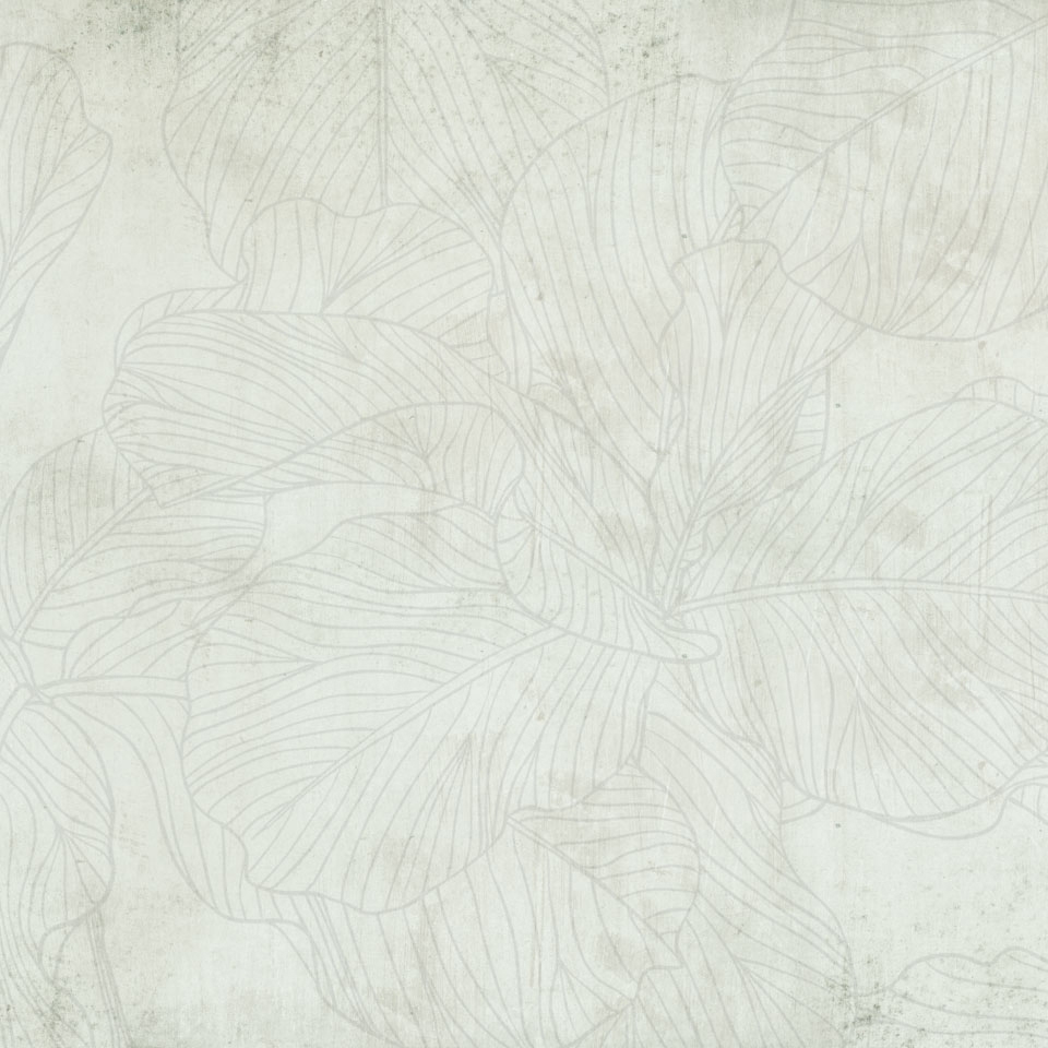 Ficus SM011-2