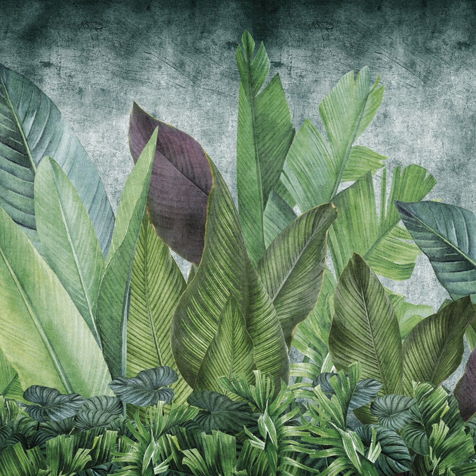 Foliis tropicae SM003-2
