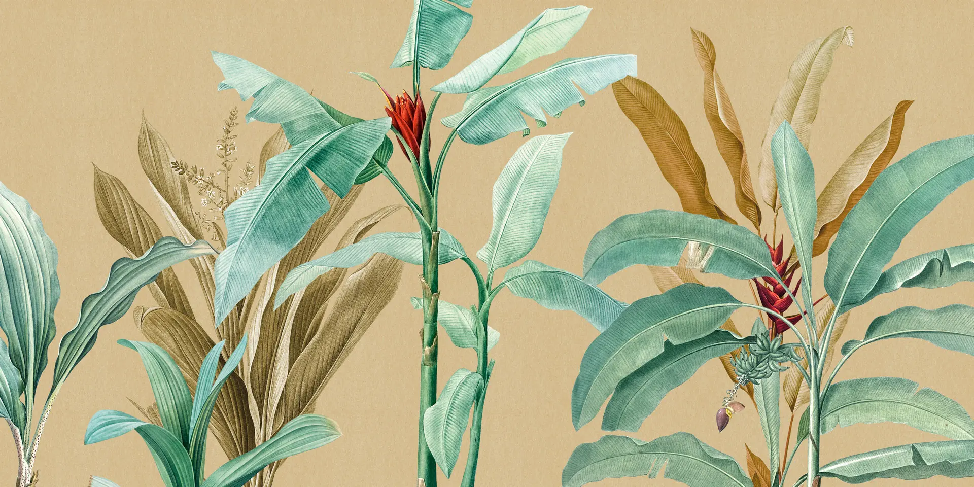 RIMURA - Tropical VE104-1