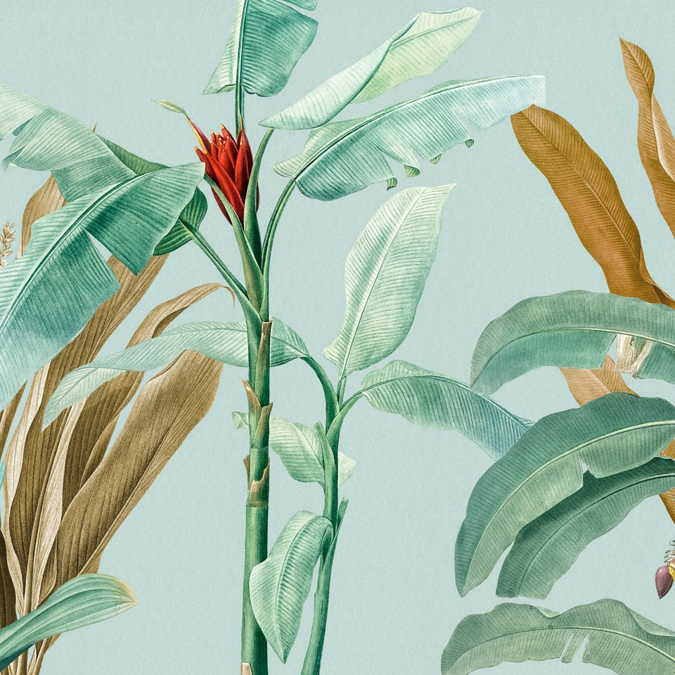 Tropical VE104-2