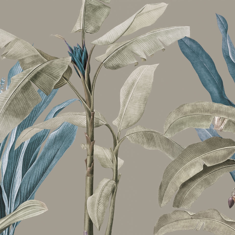 Tropical VE104-3