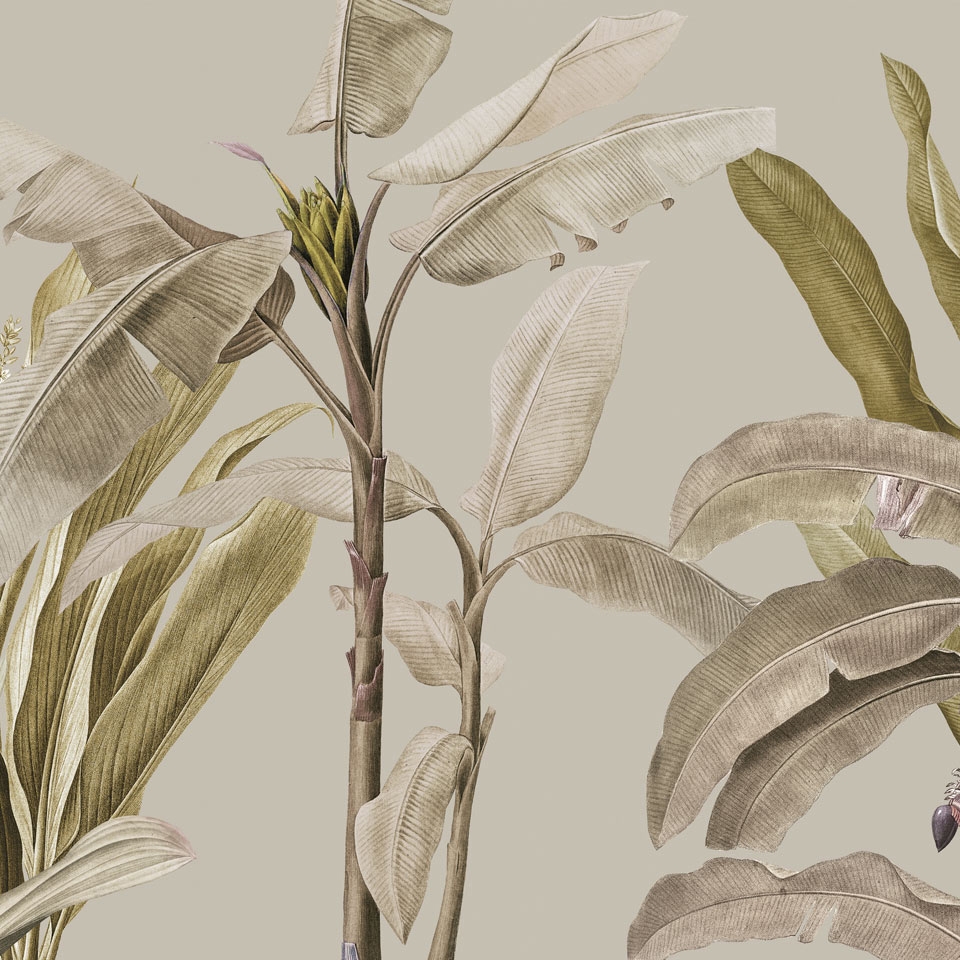 Tropical VE104-5