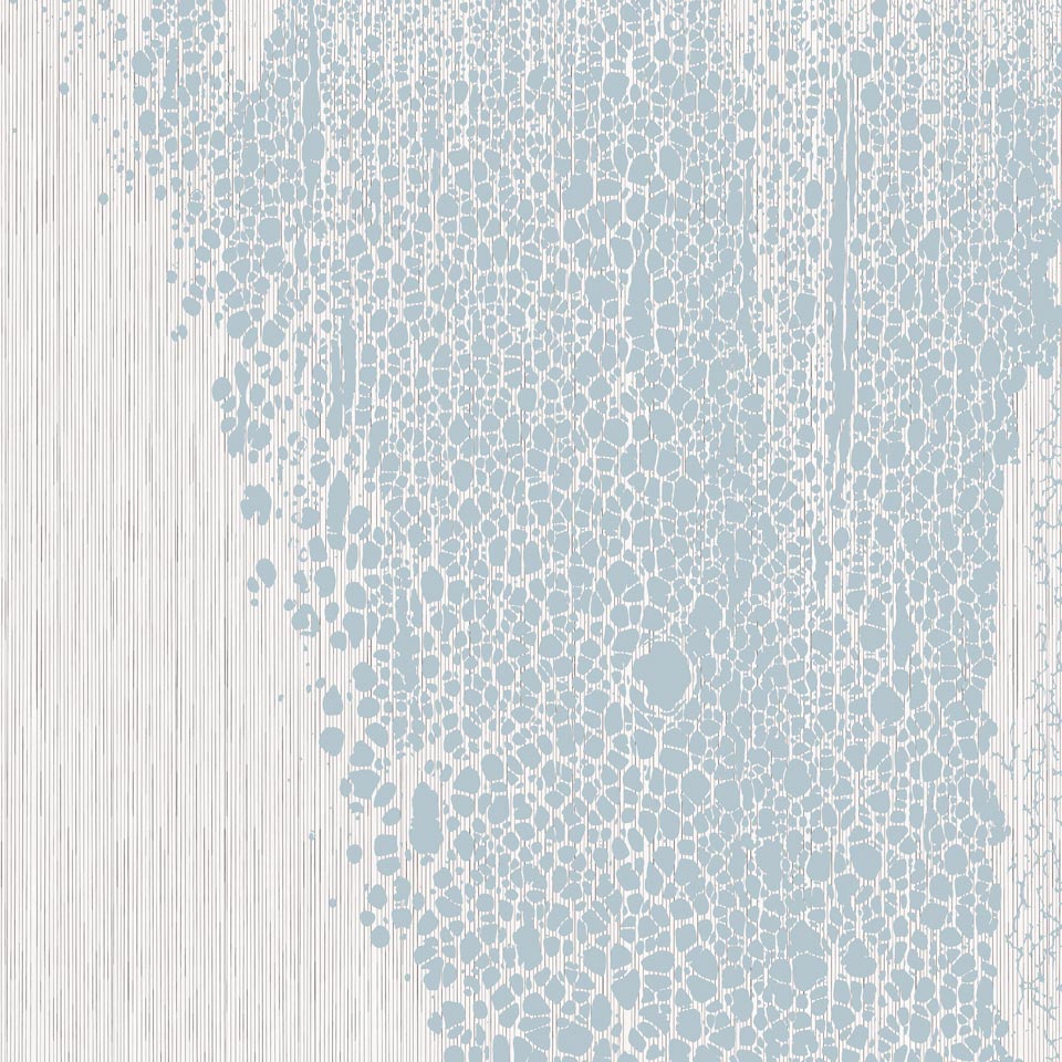 Skin AP222-3