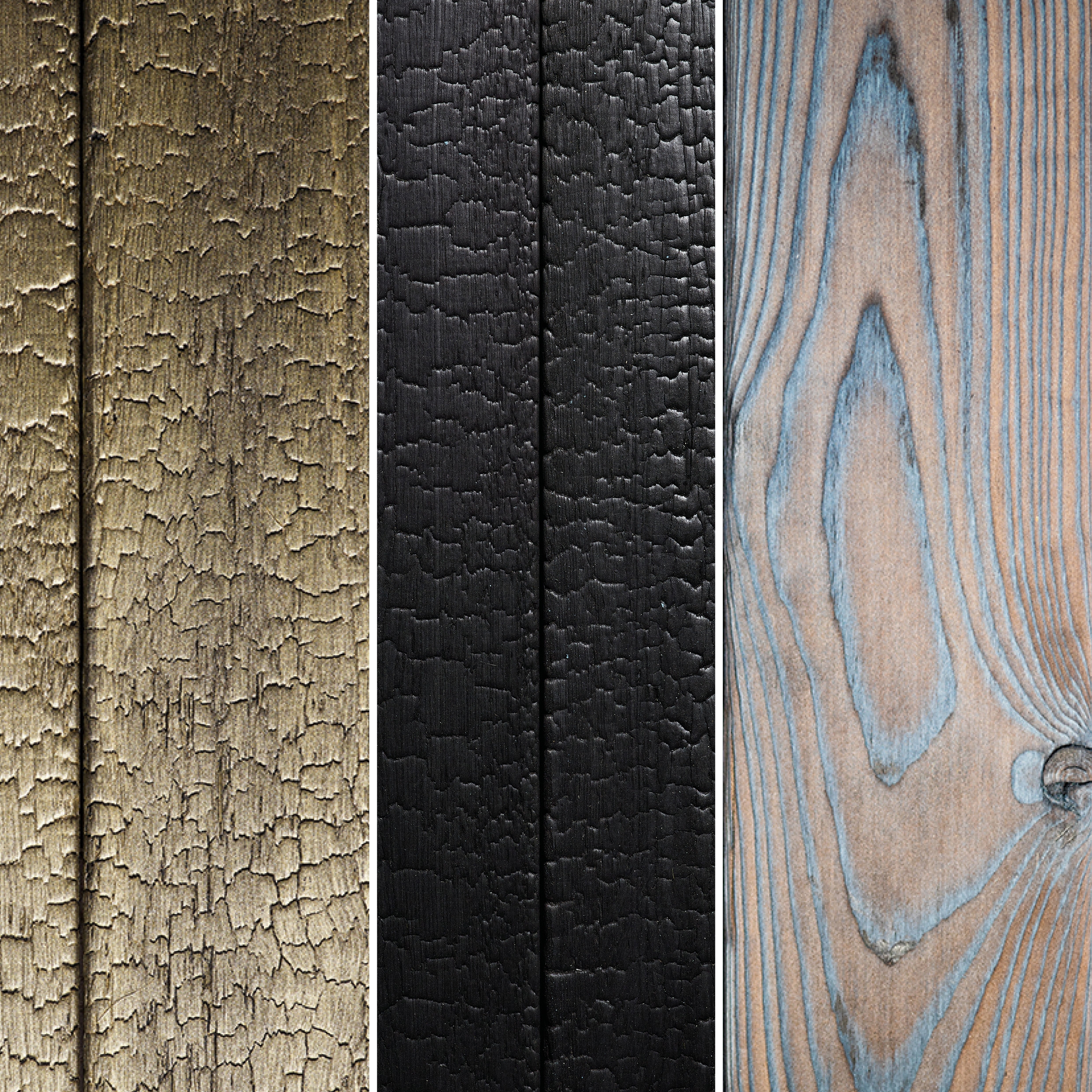 ACCOYA