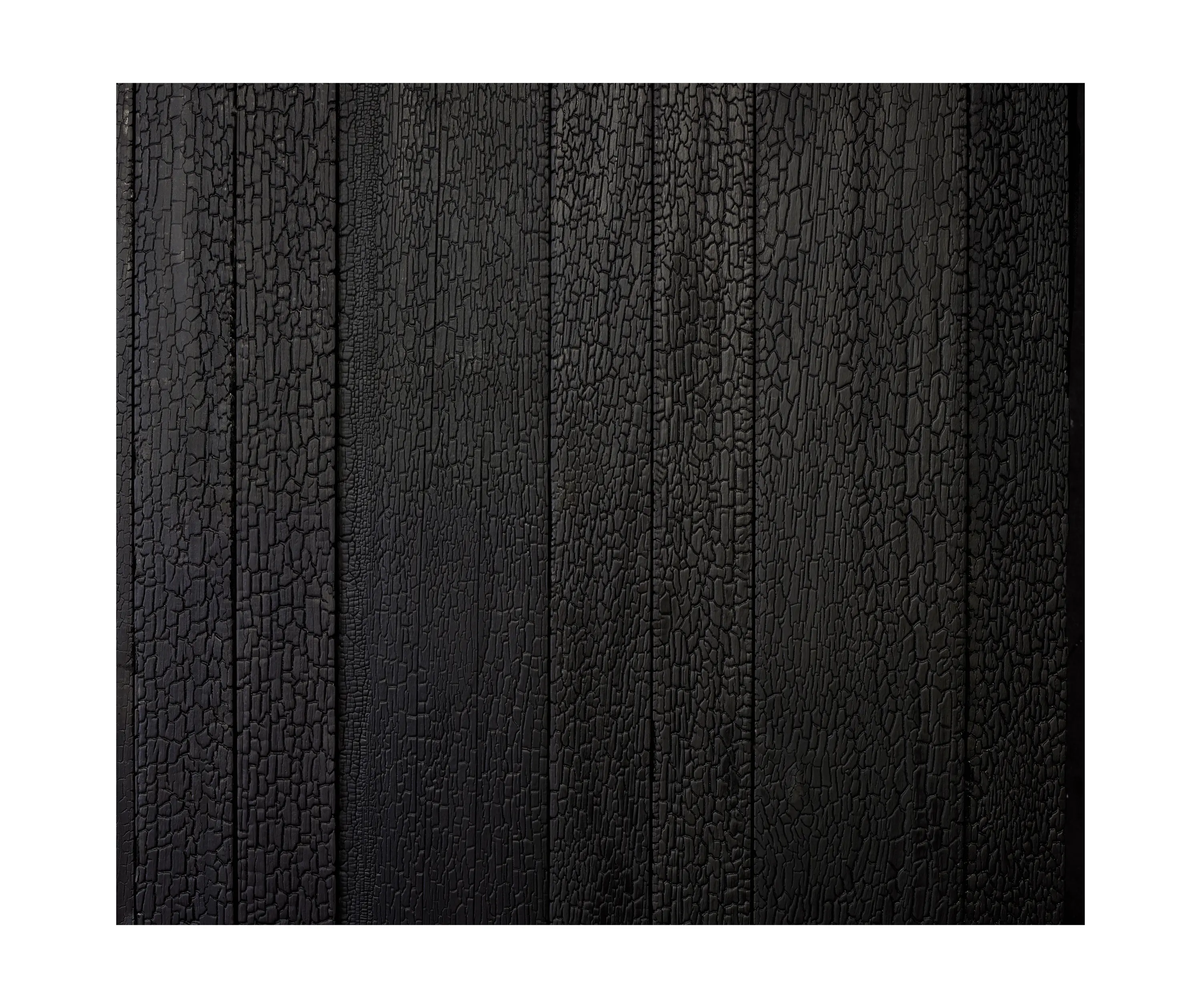 Sapiens - PLANK.S.S.B. MOLECULAR