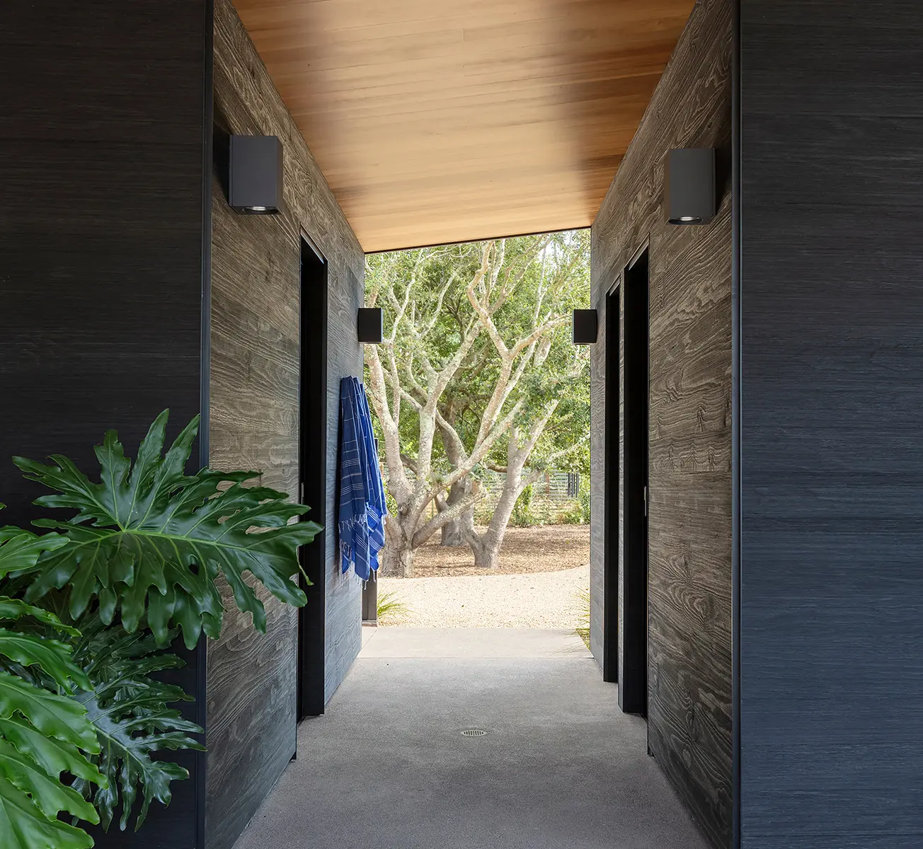 Sapiens - CLADDING.FLAME 160.MOLECULAR