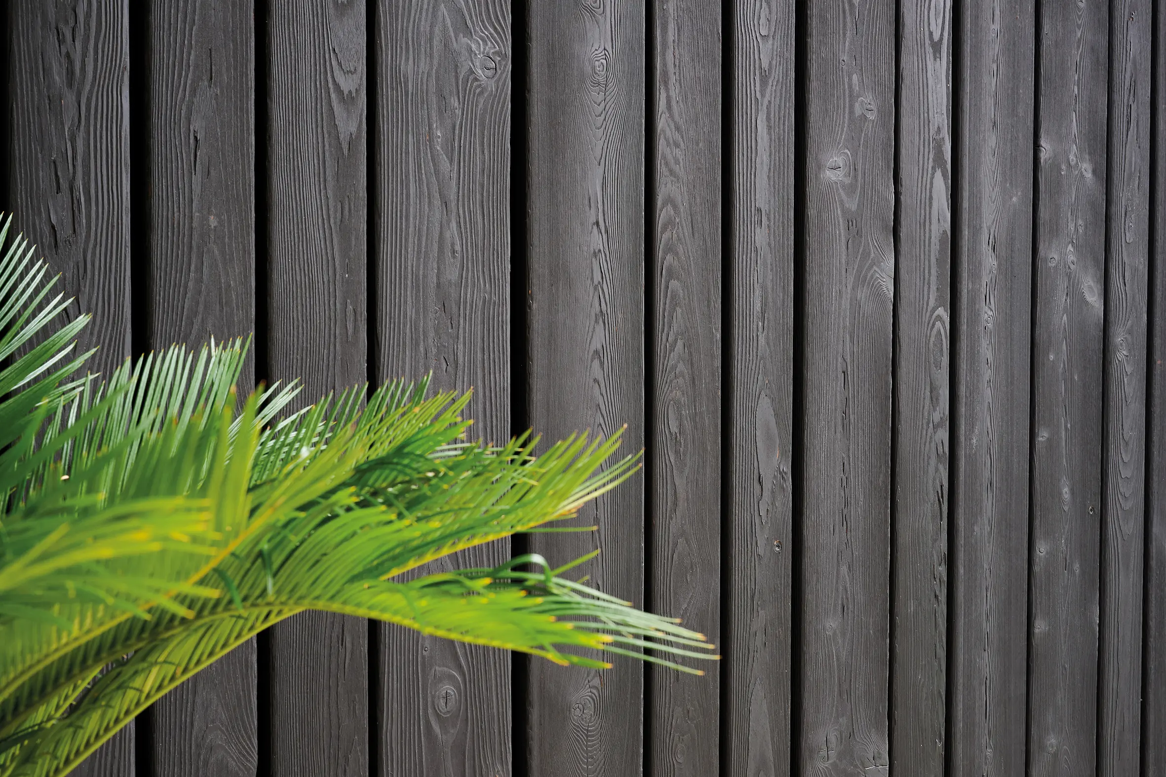 Sapiens - CLADDING.FLAME 160.TRADITIONAL