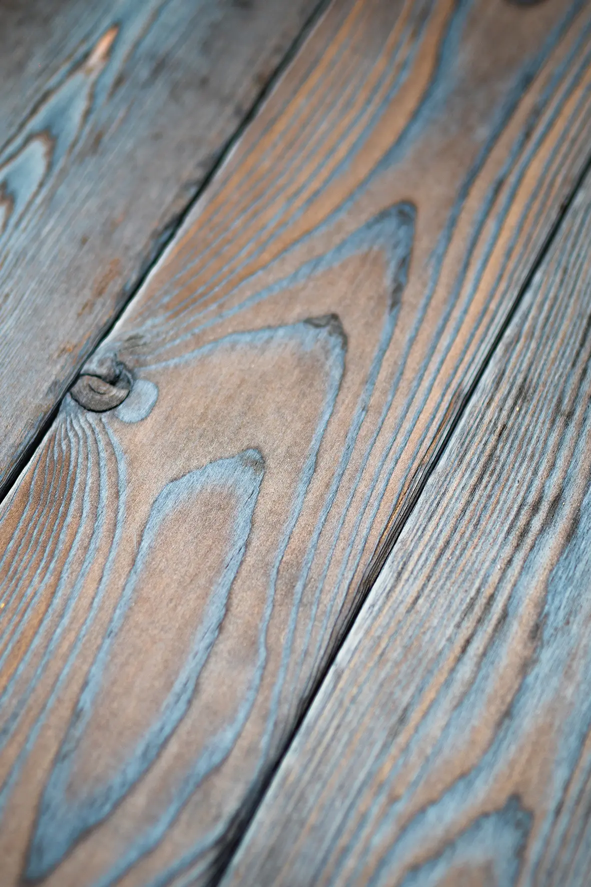 Sapiens - CLADDING.FLAME 160.TRADITIONAL