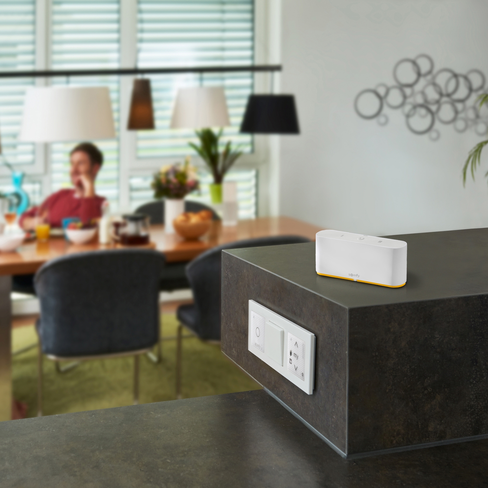 Display product io-homecontrol® from manufacturer Schenker Storen AG