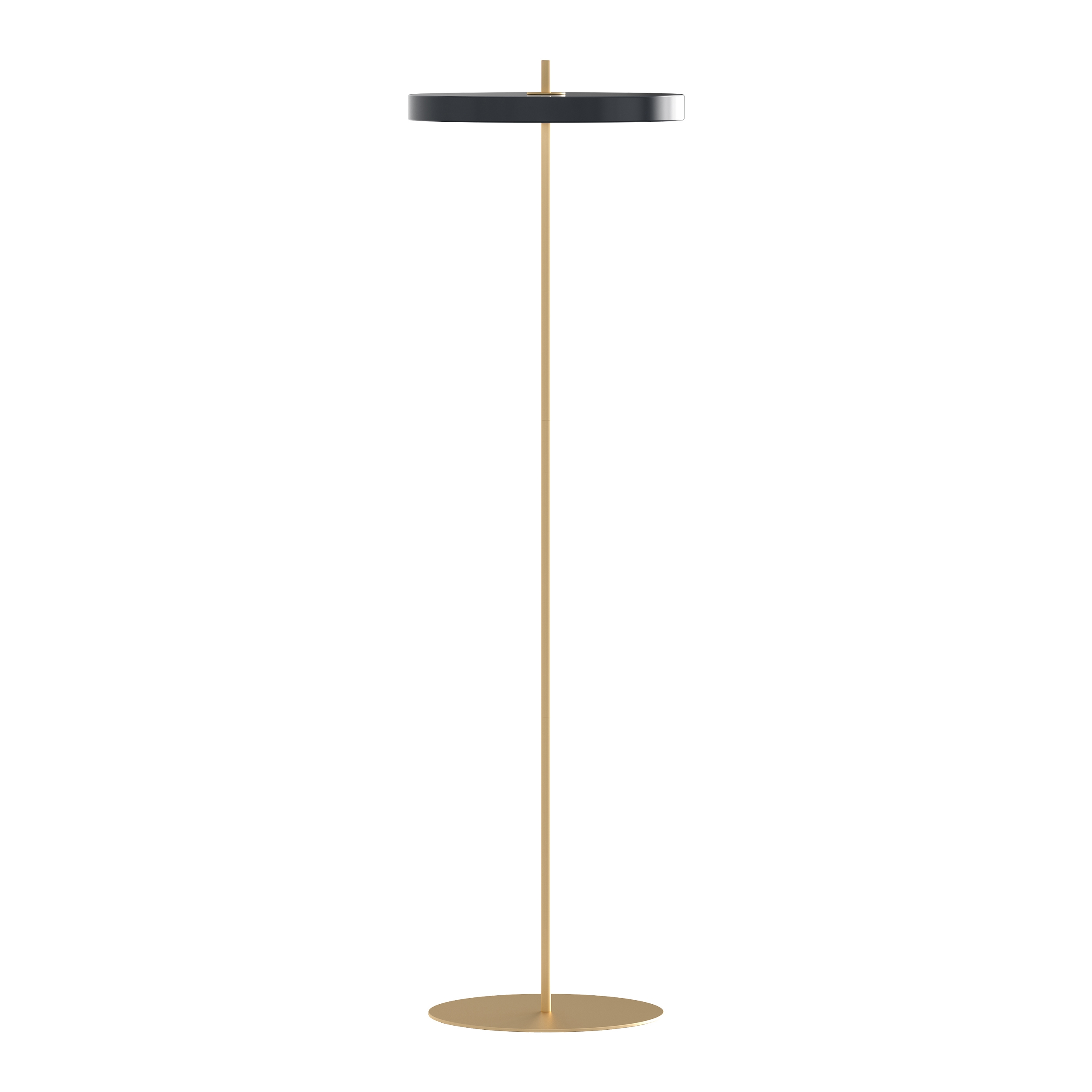 Display product Asteria | floor lamp, anthracite grey, brass from manufacturer UMAGE
