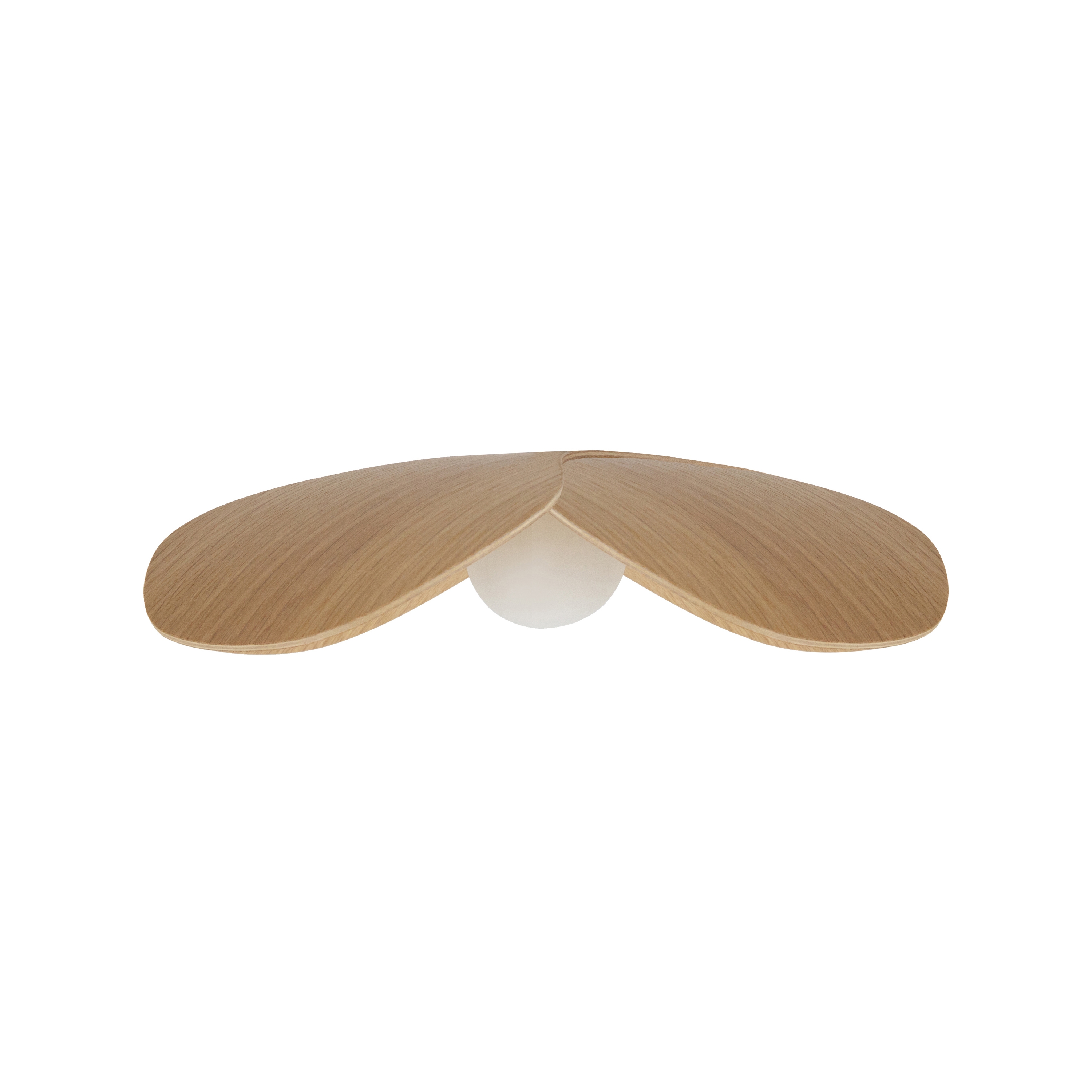 Forget Me Not | medium lampshade, oak