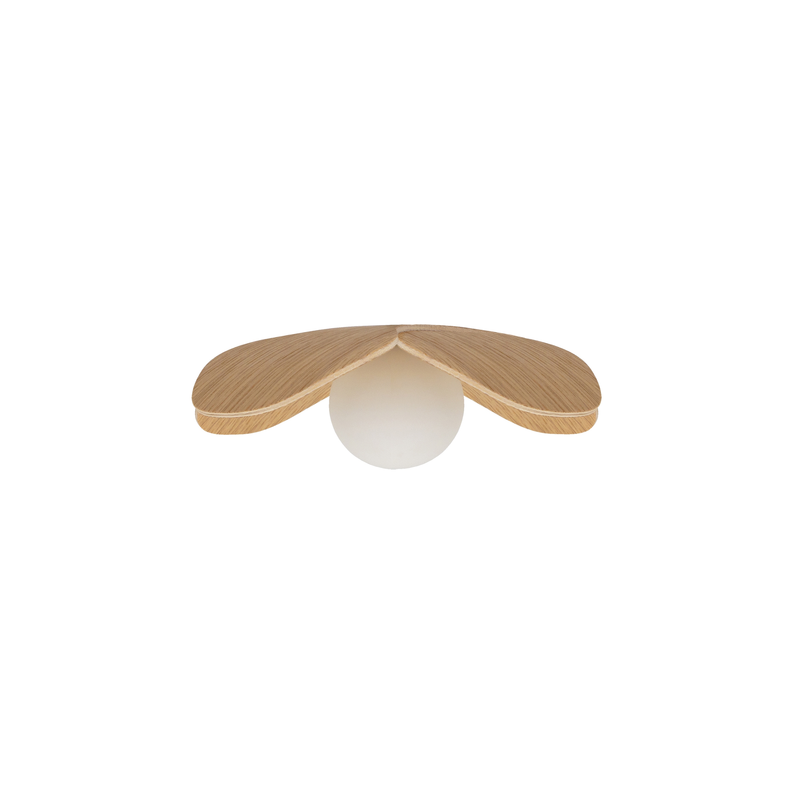 Forget Me Not | mini lampshade, oak