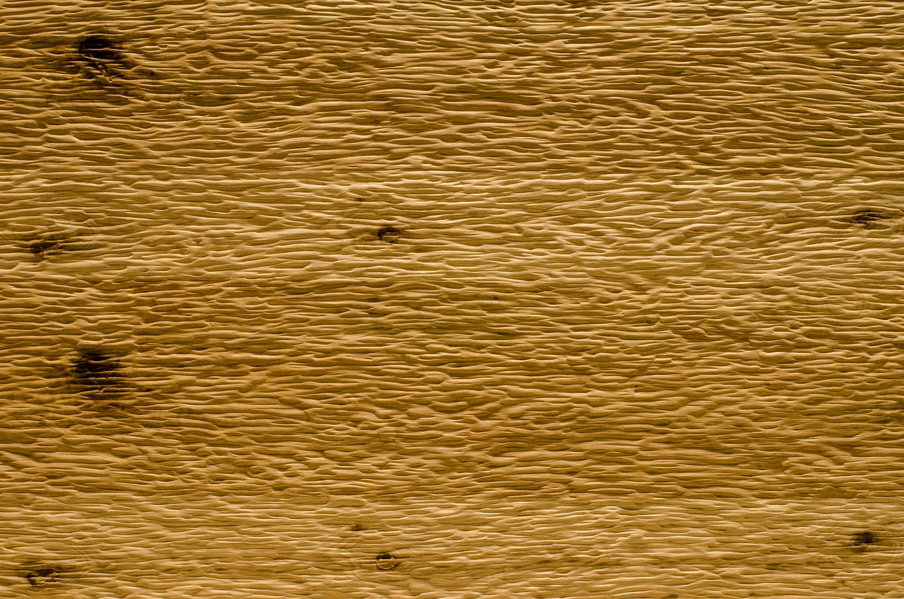 XYLOKAT - 908 Phleda