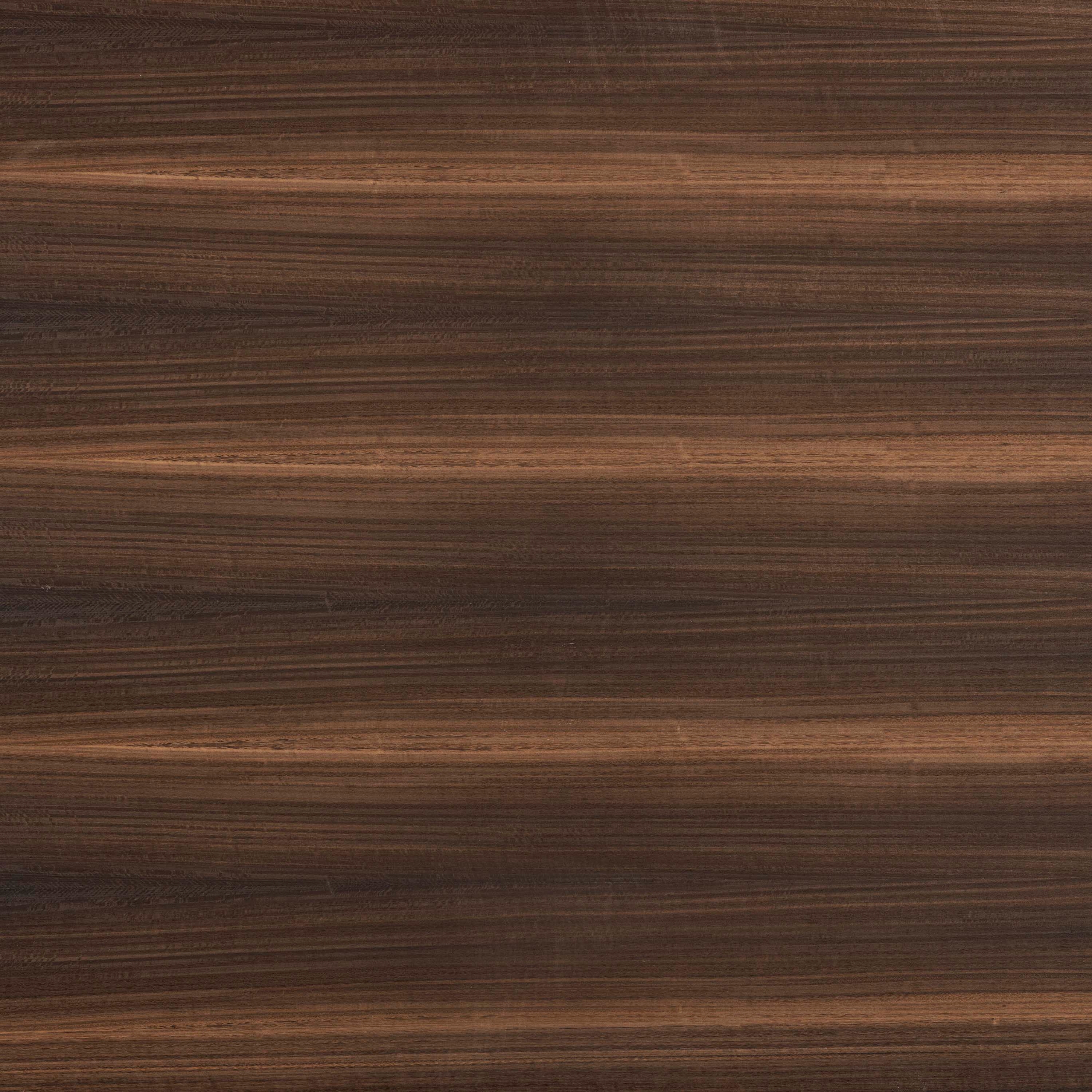 Display product Smoked Eucalyptus from manufacturer XYLOKAT