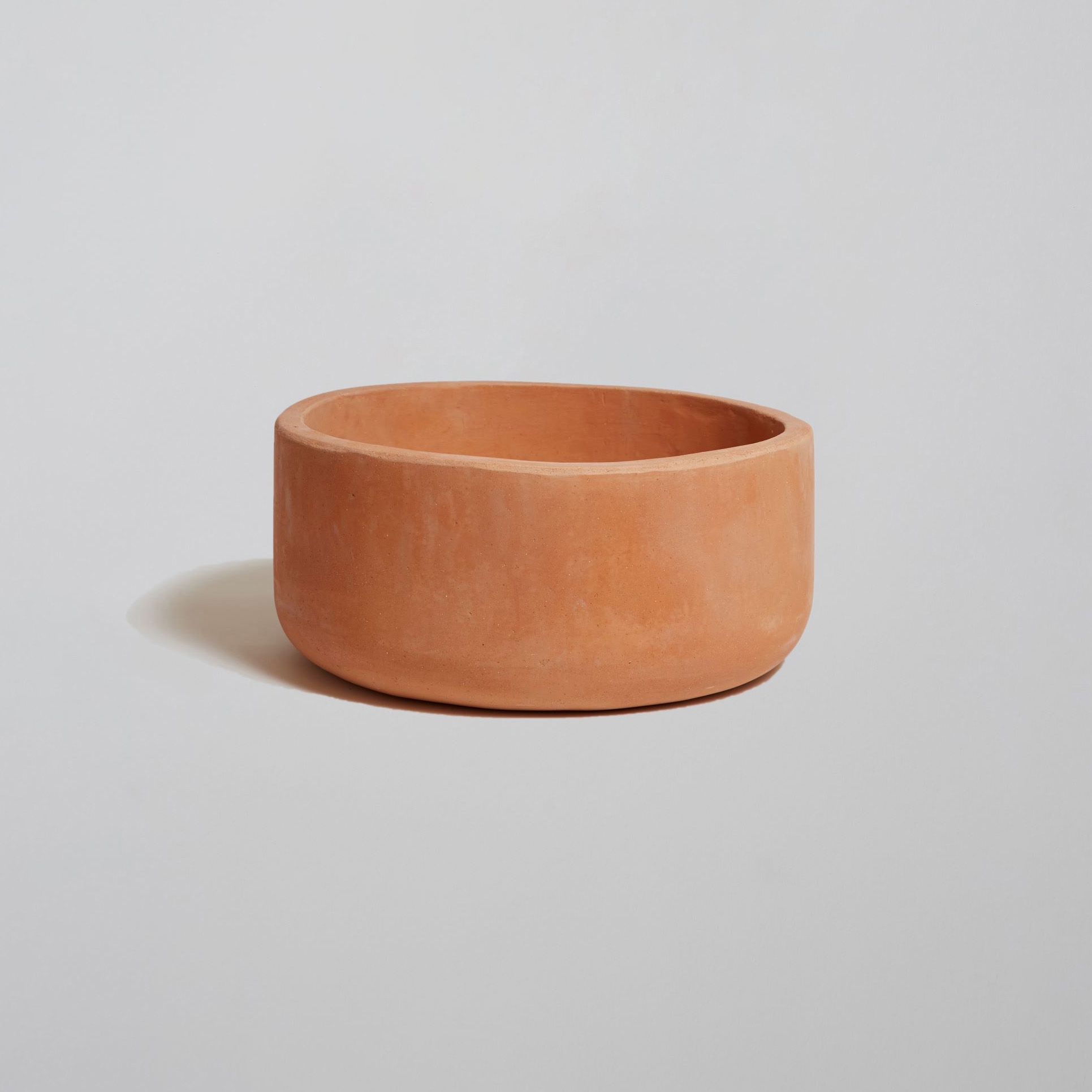 Topiaria | Laurus vase - Rosato