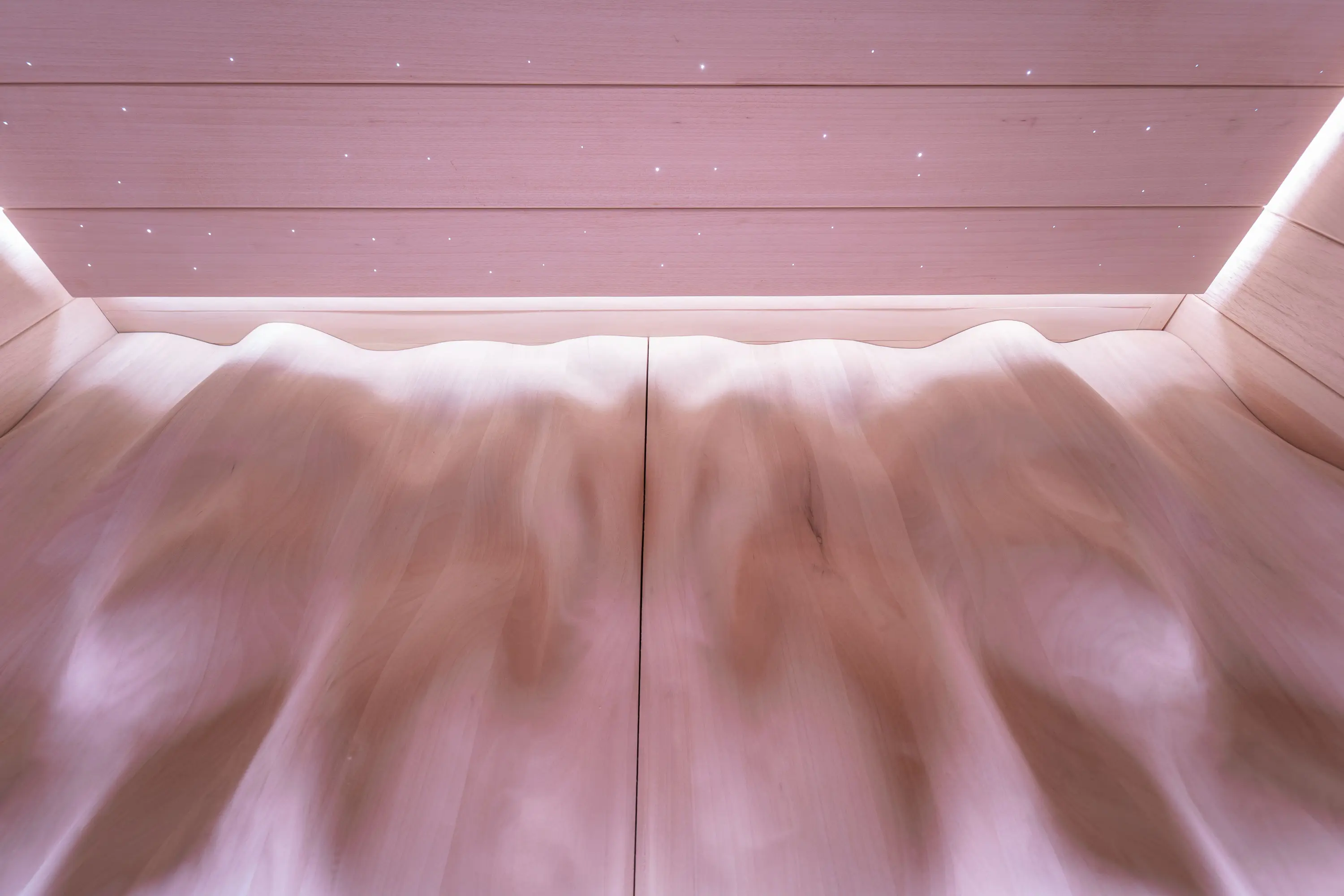Alpha Wellness Sensations - Finitura Interna - Legno Progettato in 3D