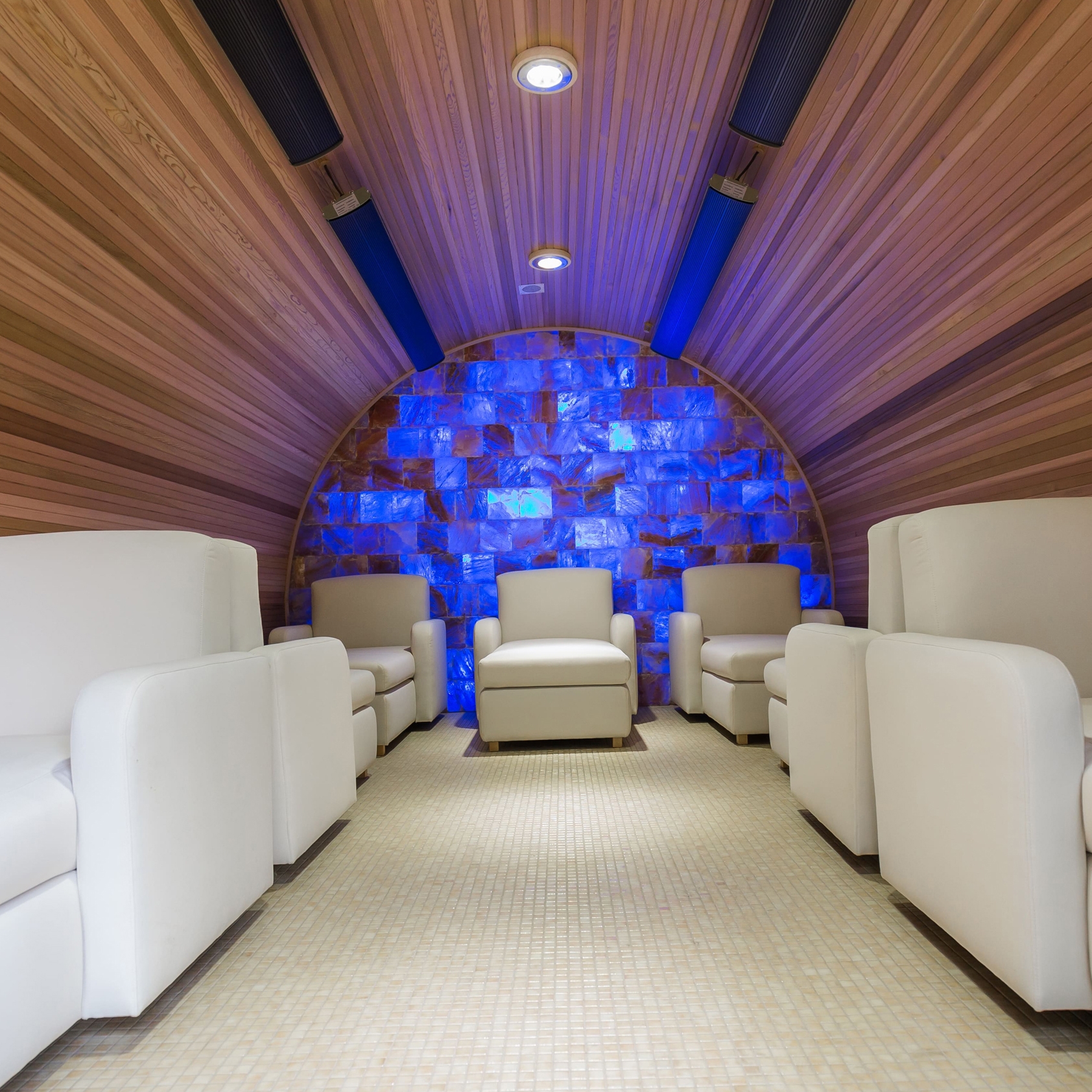 Mostrar el producto Eclipse XL Relax Room del fabricante Alpha Wellness Sensations