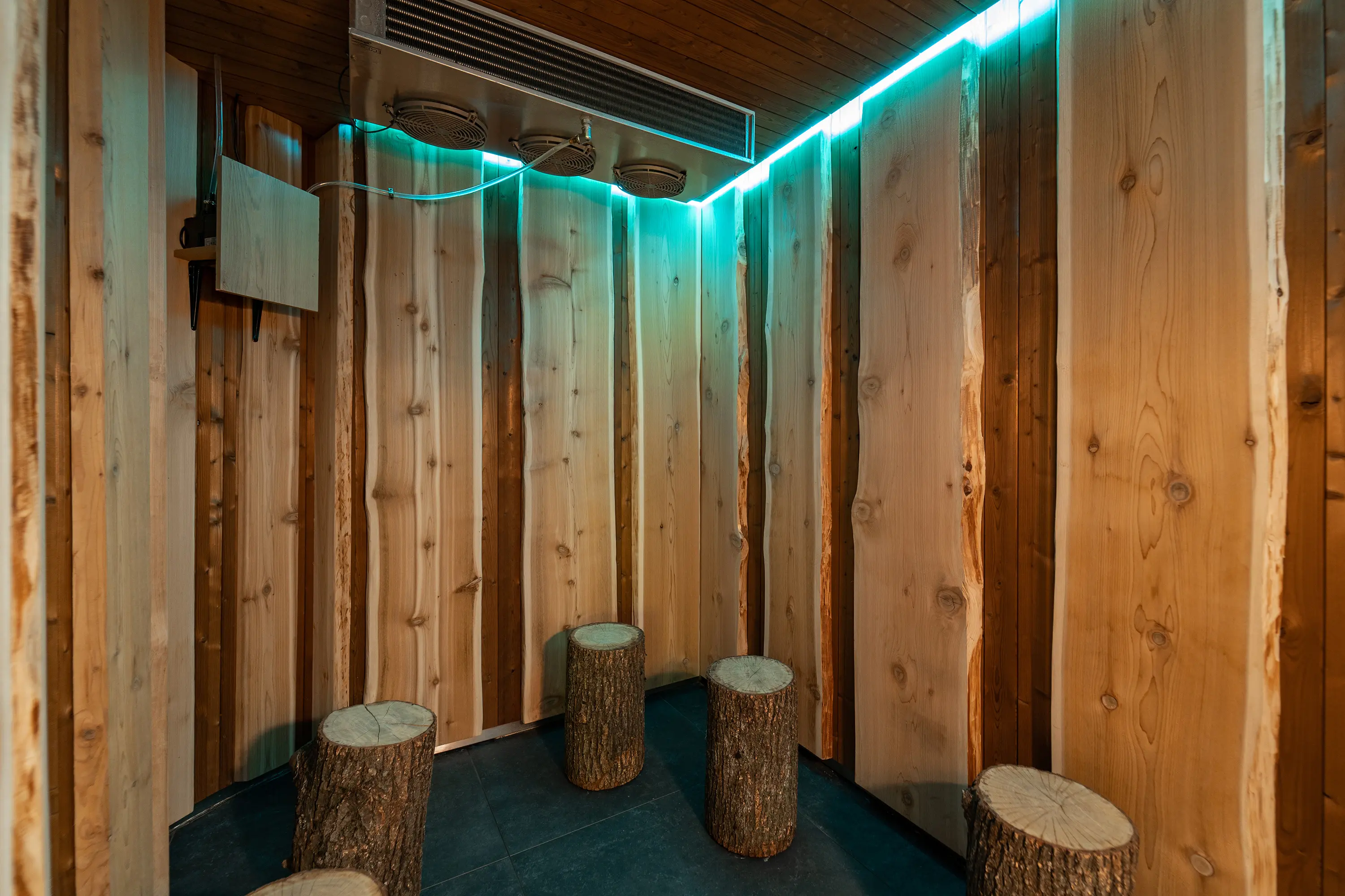 Alpha Wellness Sensations - Cold Room