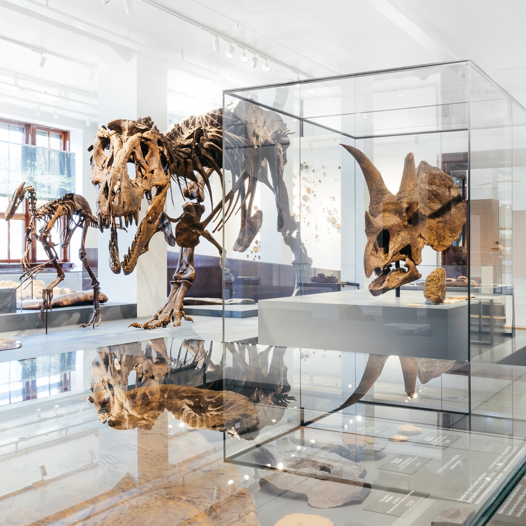Mostra il prodotto Grande vetrina espositiva del produttore barth 