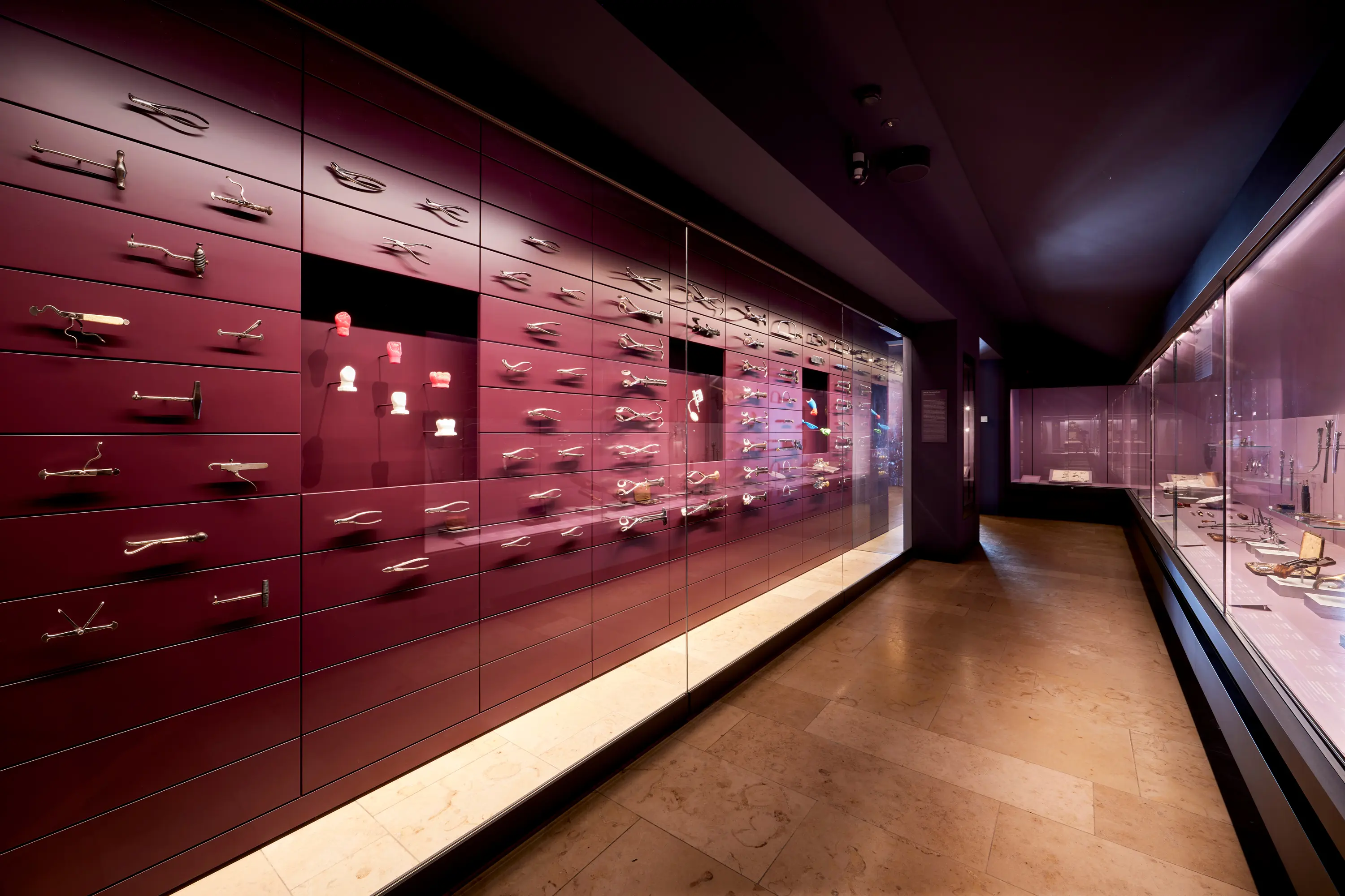 barth  - Wall-Mounted Display Case