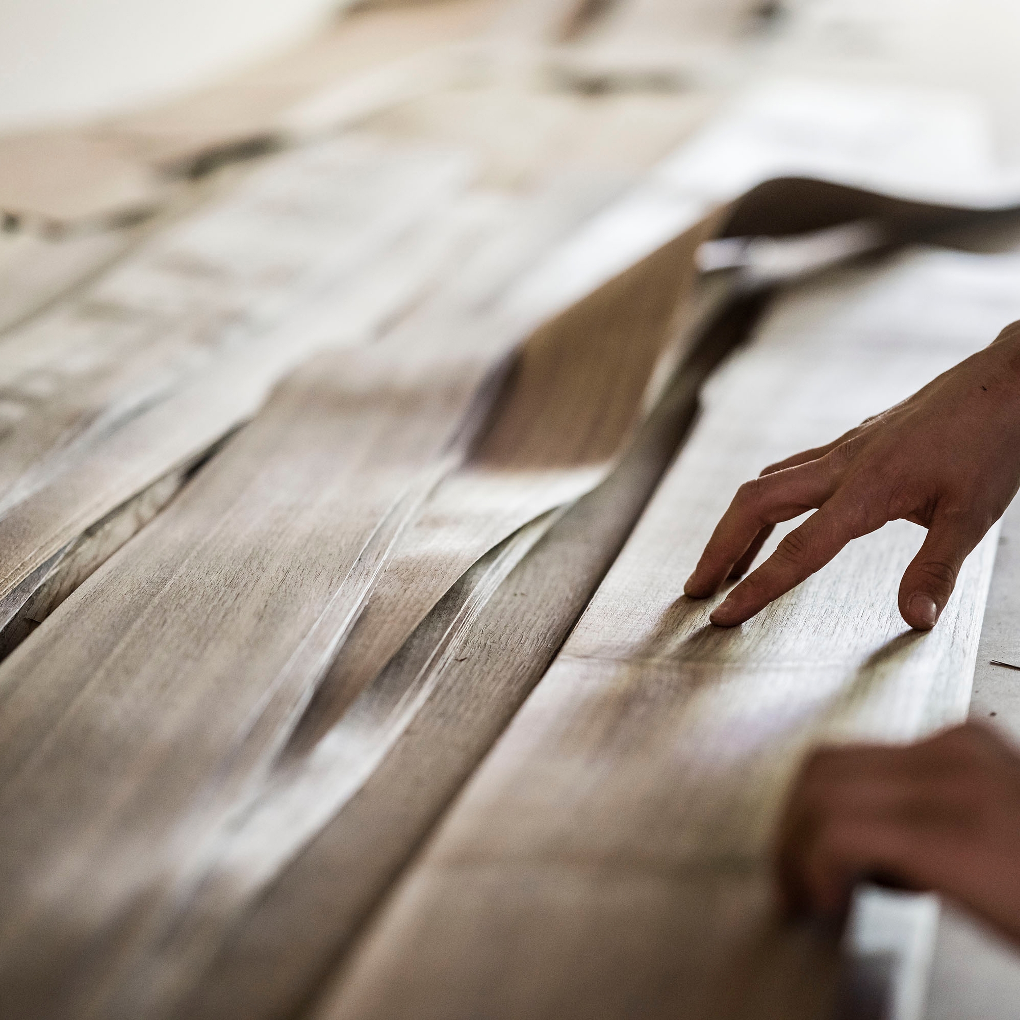 Display product Hand-Selected Veneer – Raw Veneer in Processing from manufacturer barth 