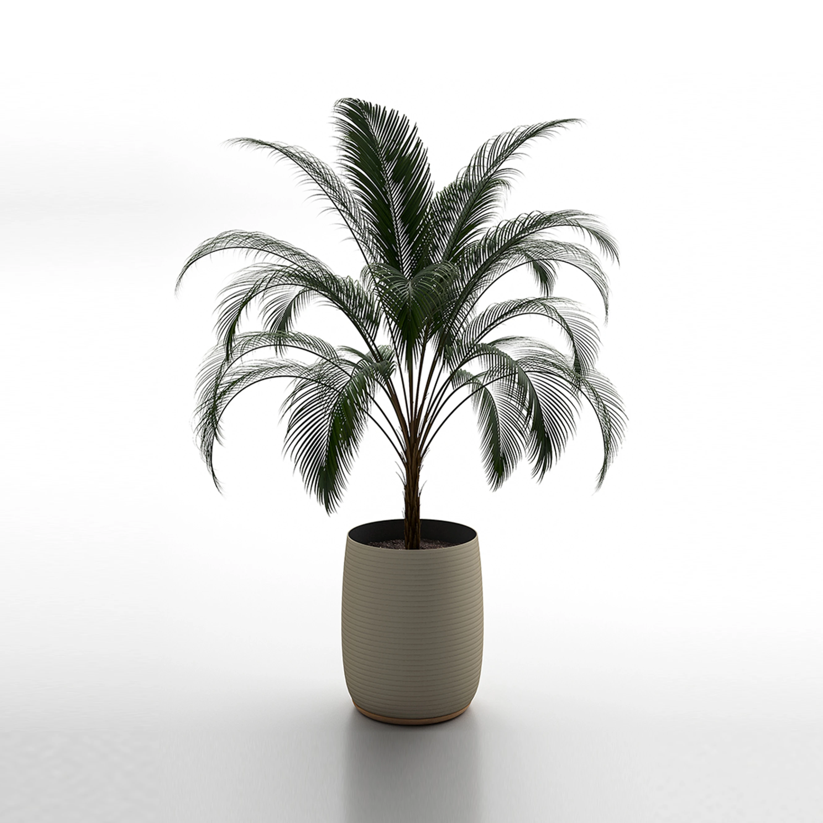 GARDEN POTS & PLANTERS