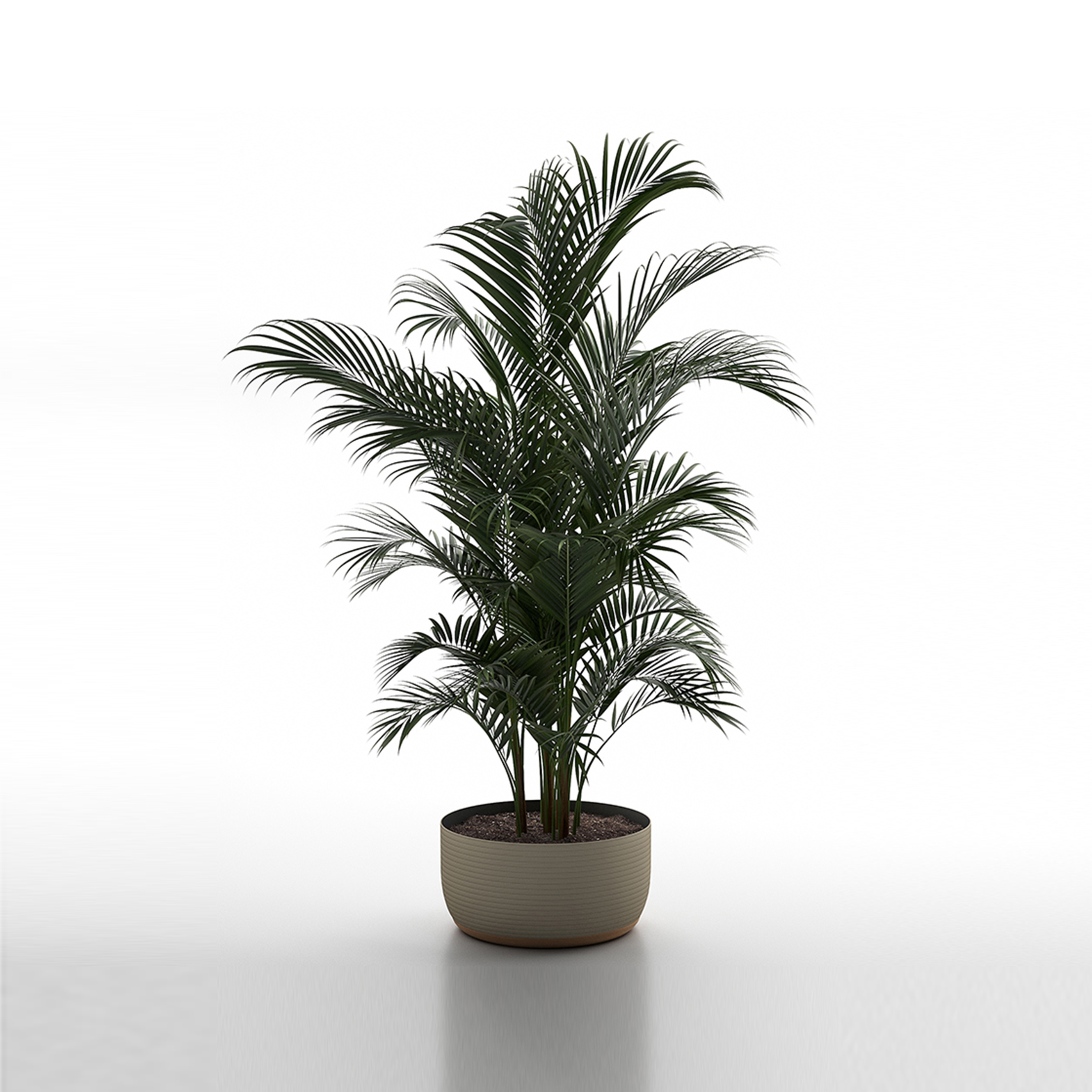 Mostrar el producto Selina Round Planter Thick 28 del fabricante Design Pergola