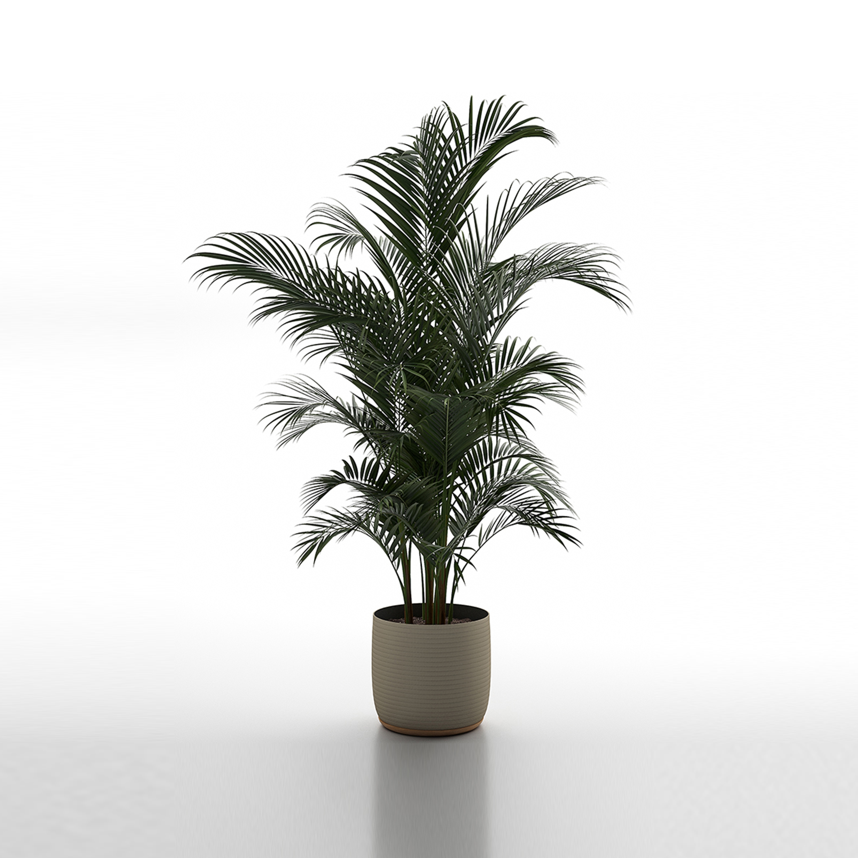 Mostrar el producto Selina Round Planter Thin 36 del fabricante Design Pergola