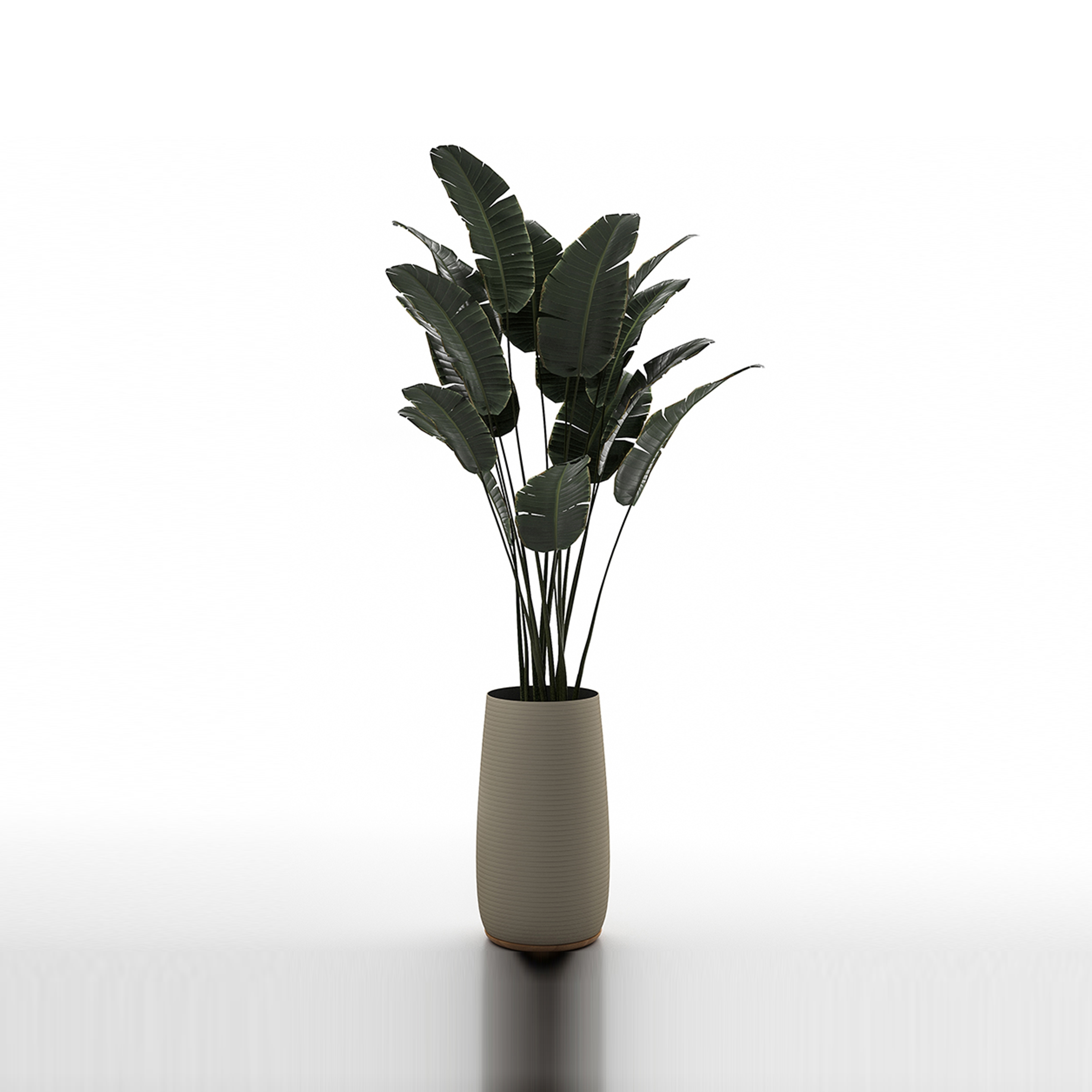 Display product Selina Round Planter Thin 71 from manufacturer Design Pergola