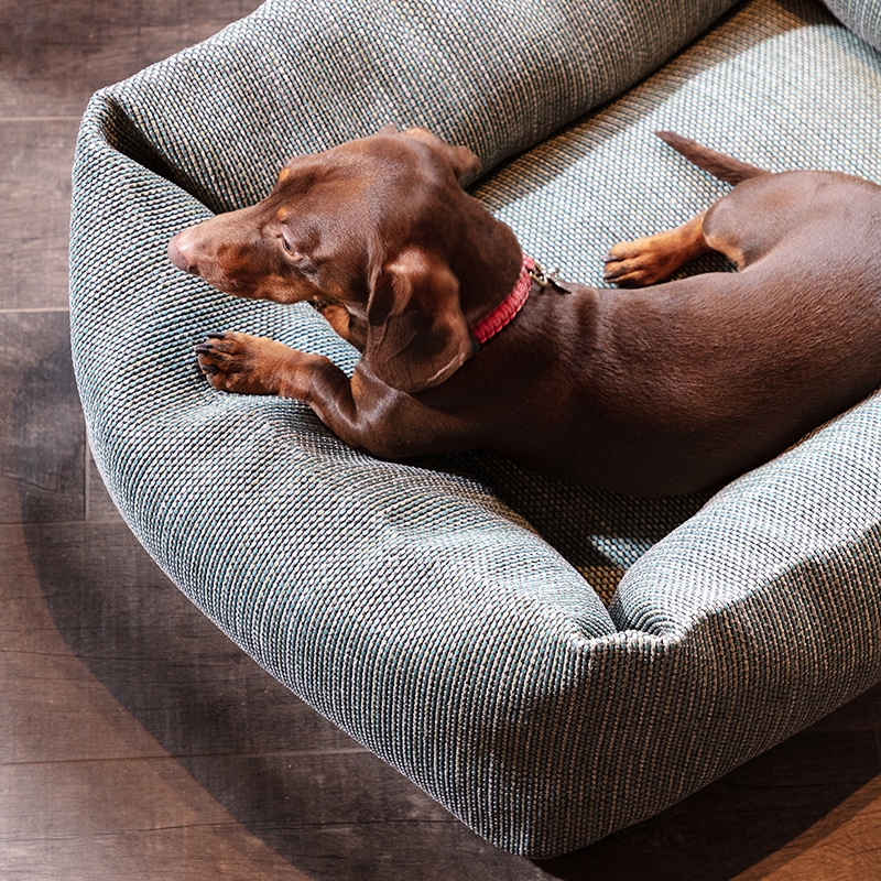 DOG BASKETS