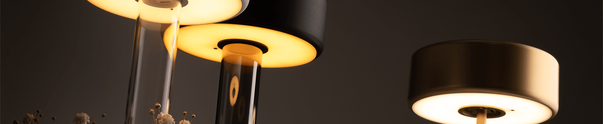 Discover the world of manufacturer Maytoni