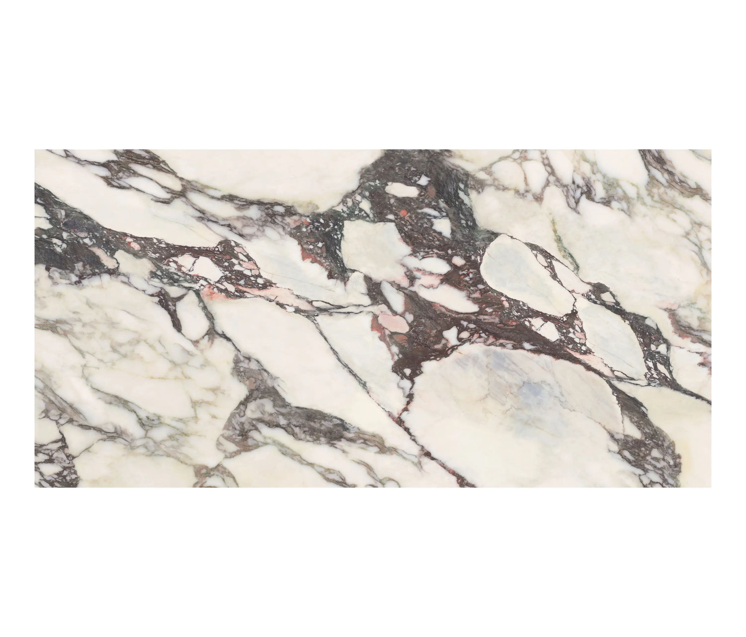 Kaolin Surfaces  - Calacatta Viola