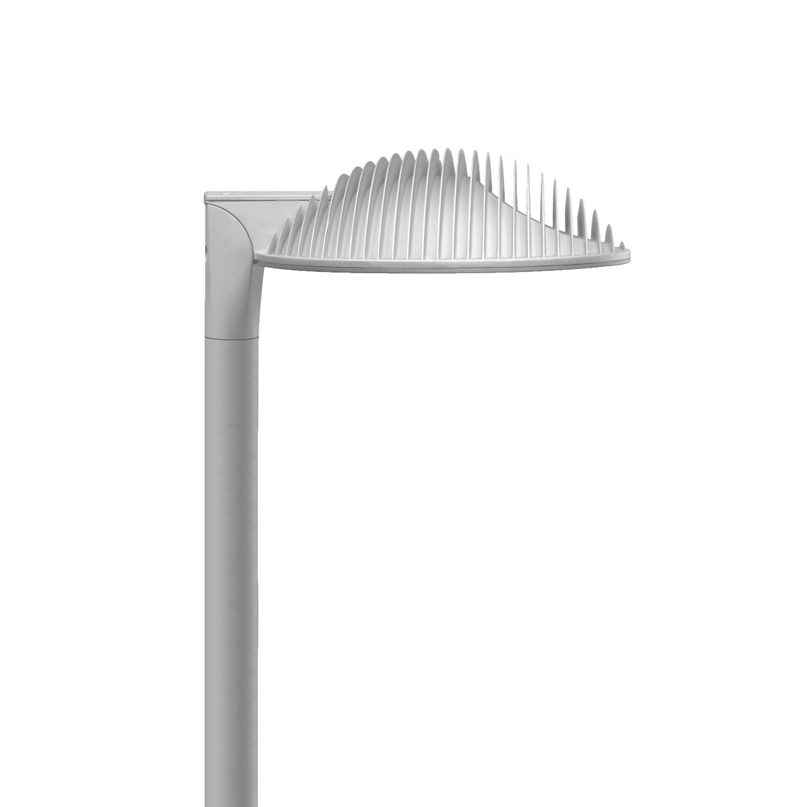 Display product Anima Top Hor from manufacturer SALVI Lighting 