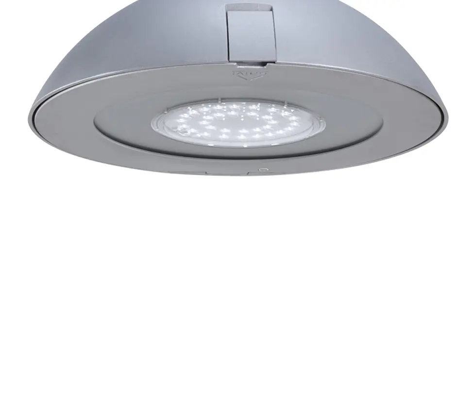 SALVI Lighting  - Basic L Sus