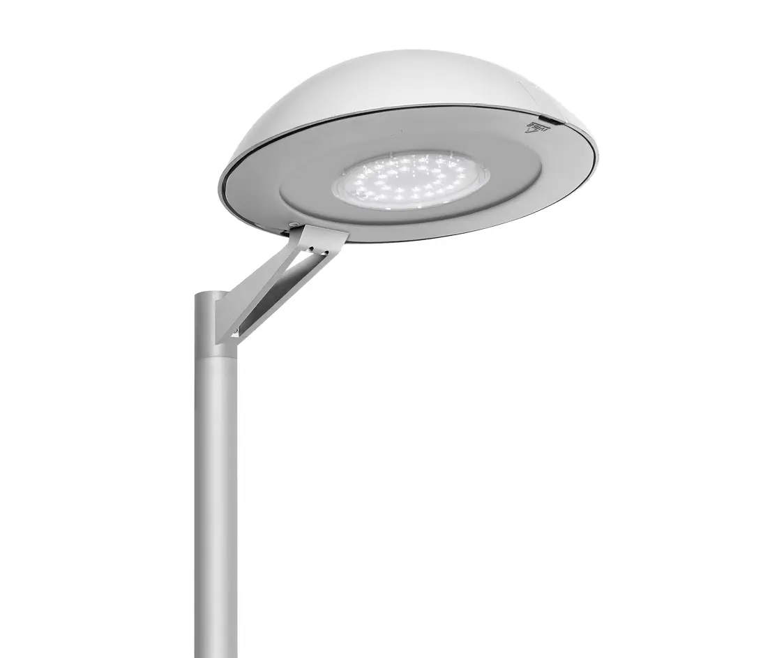SALVI Lighting - Basic L Top