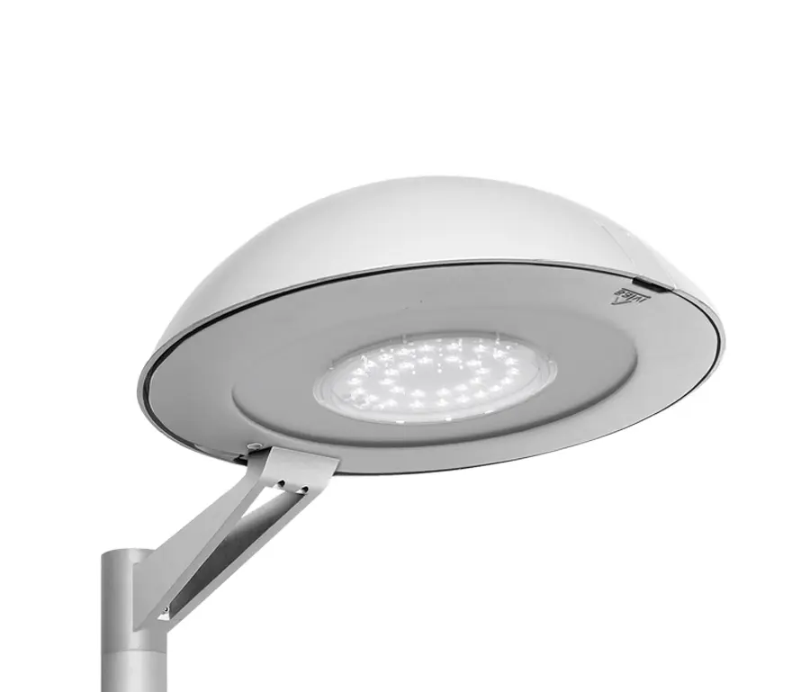 SALVI Lighting - Basic L Top