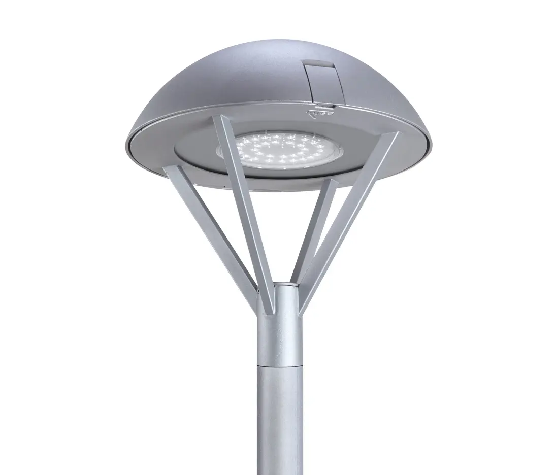 SALVI Lighting - Basic L Top Lat