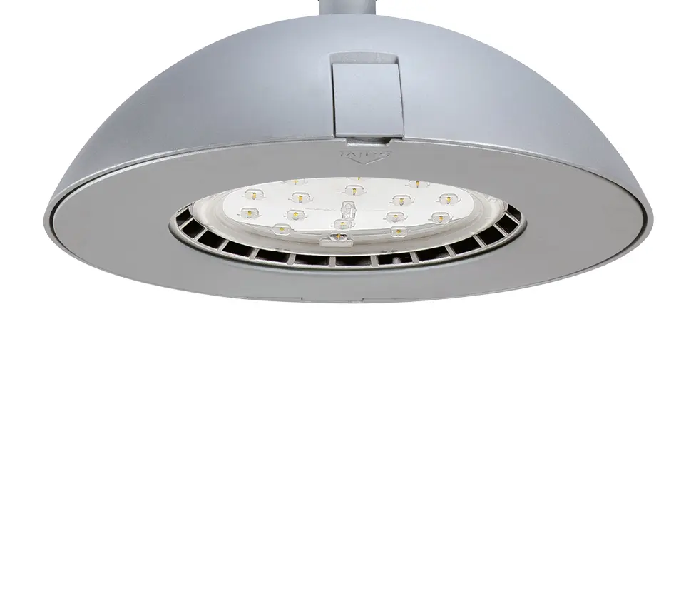 SALVI Lighting  - Basic S Sus
