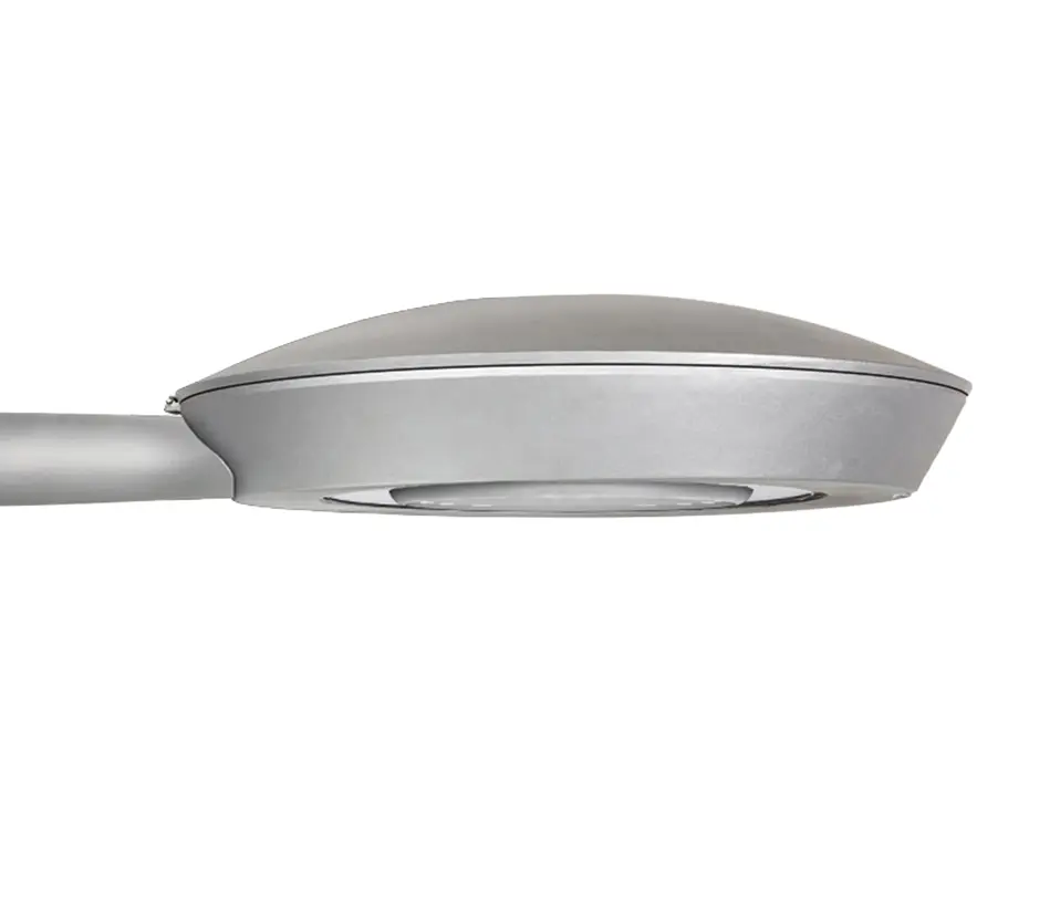 SALVI Lighting - Venus M